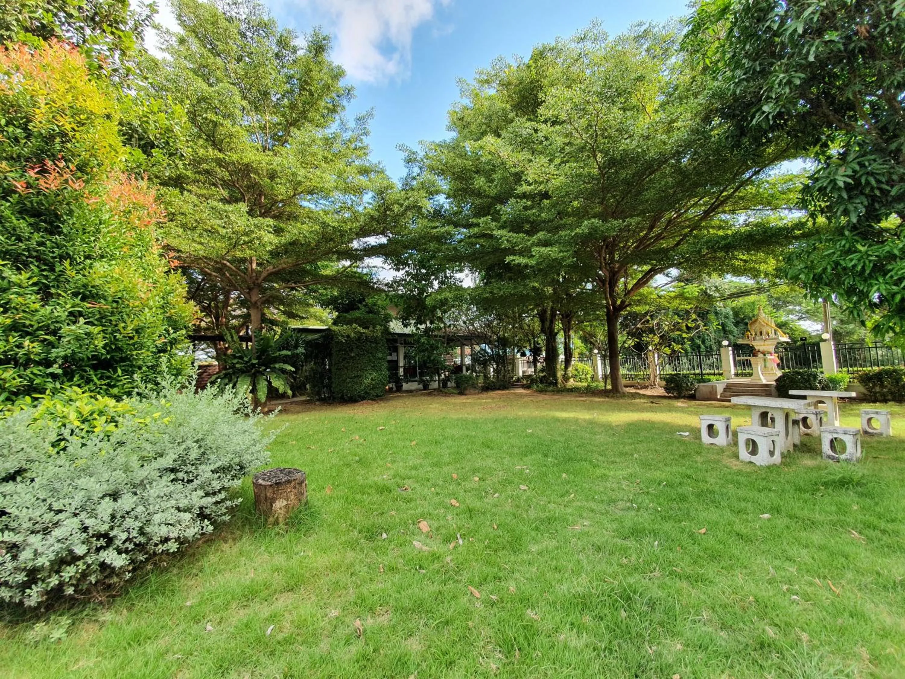 Garden in Orchid Surin