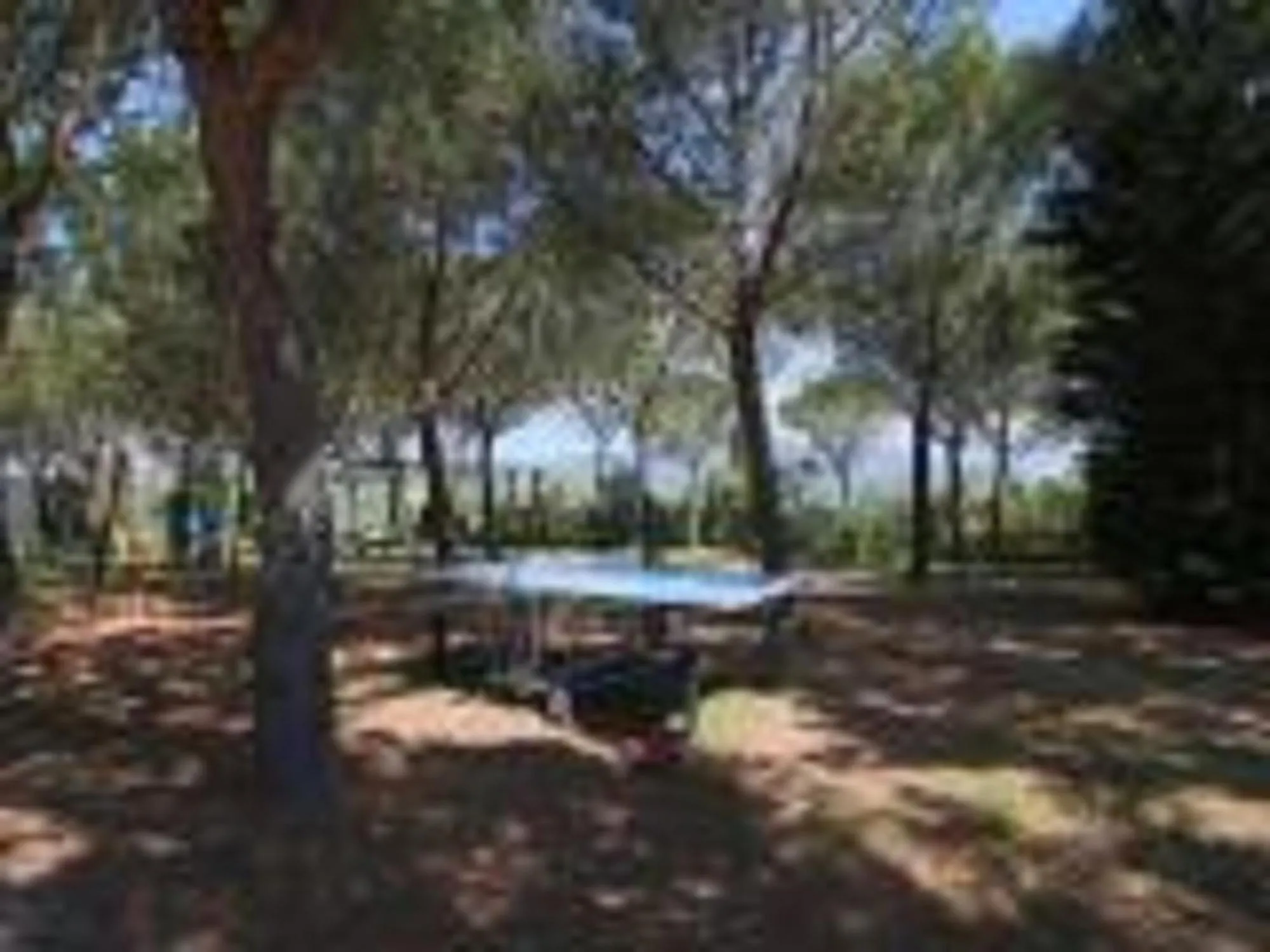 Garden in Elegant Desert Camp