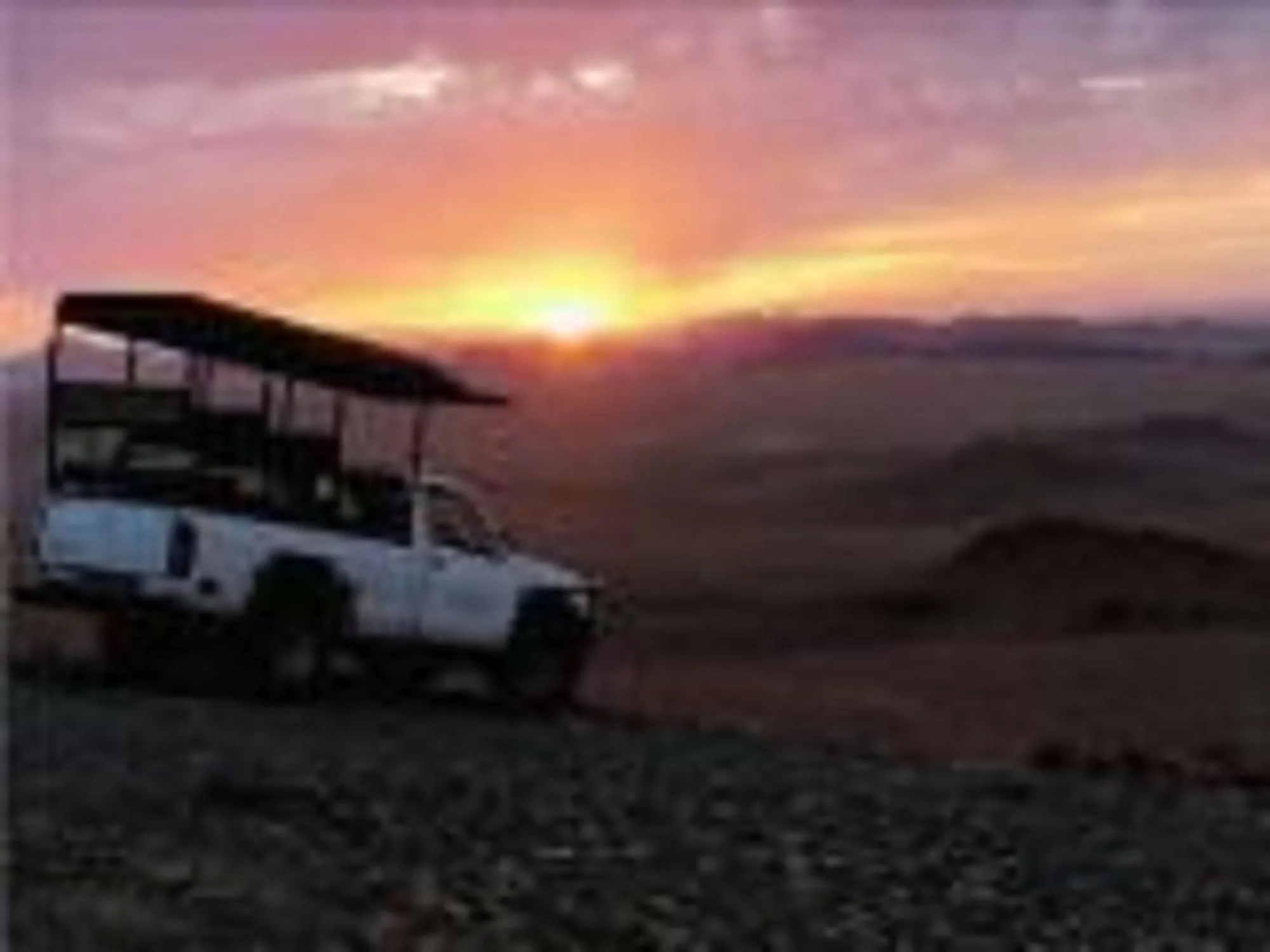 Natural landscape in Elegant Desert Camp