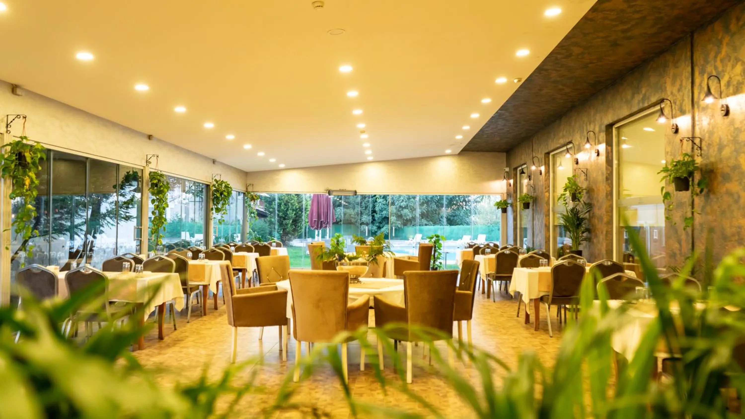 Restaurant/places to eat in MOX Hotel Wellness & Spa