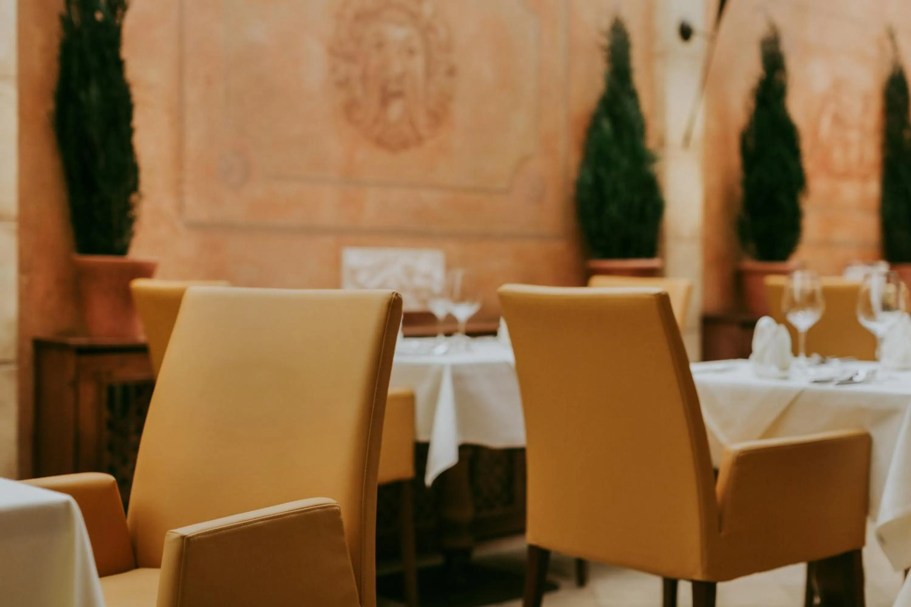 Restaurant/places to eat in Hotel Drei Quellen Therme