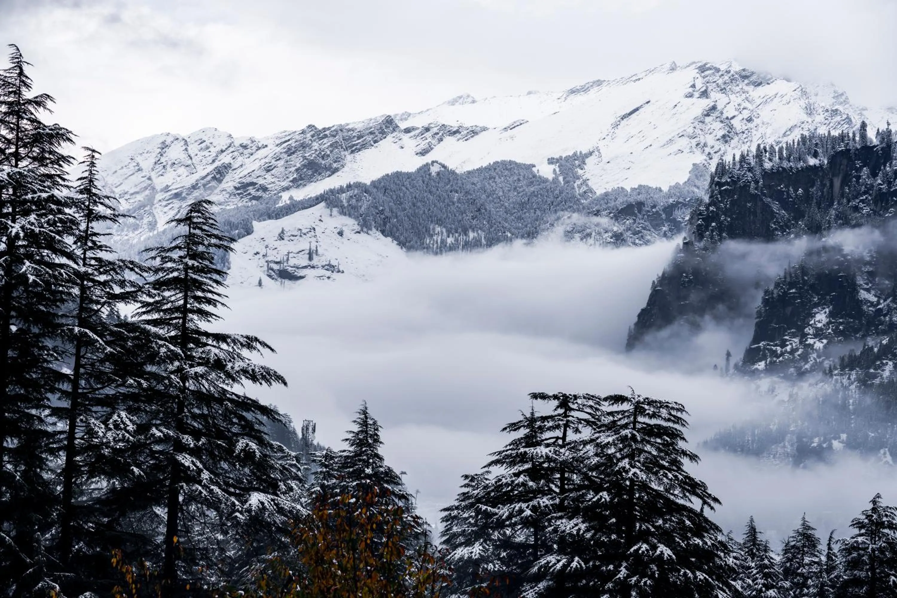 View (from property/room) in Zen Manali by Keekoo Stays