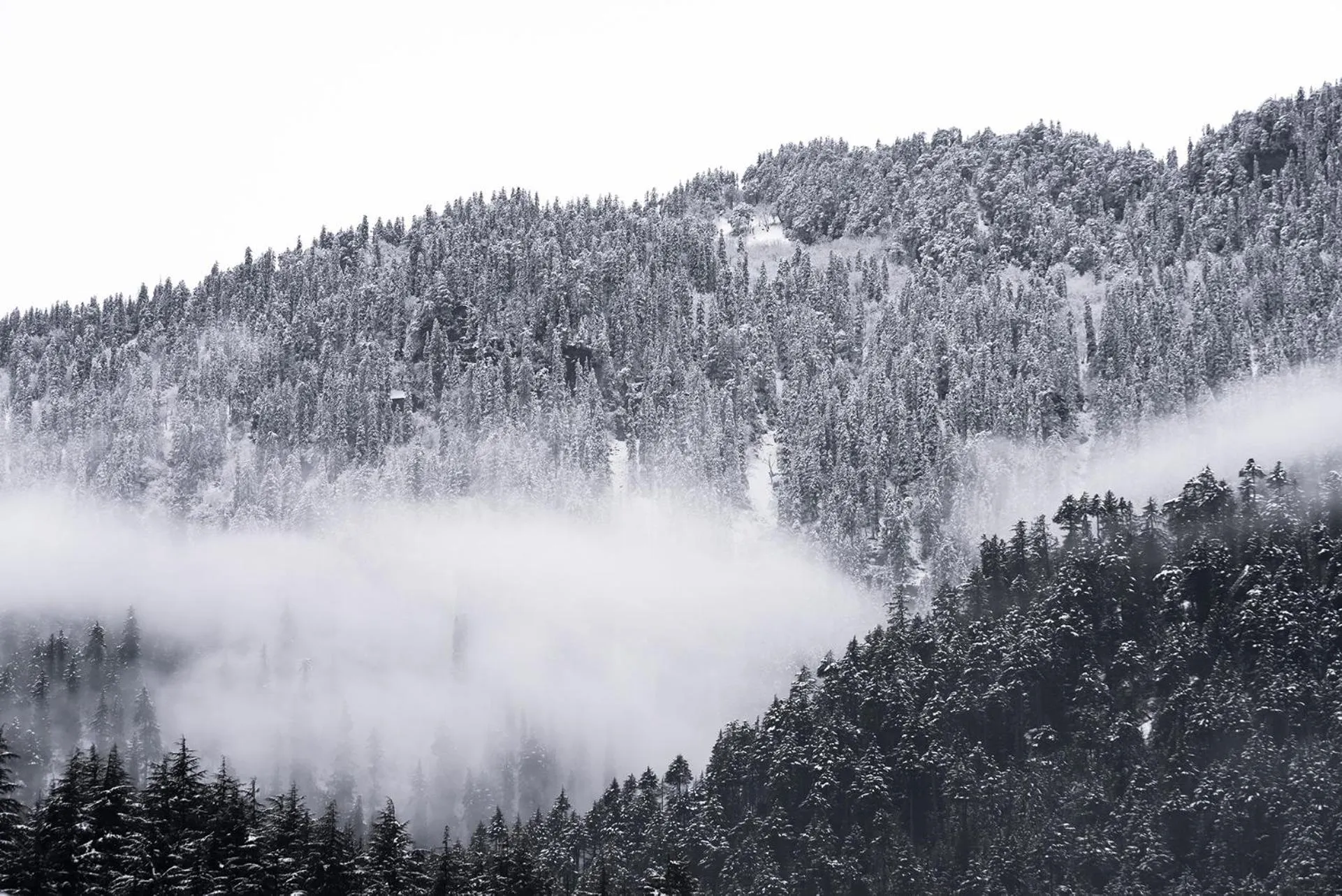 Winter in Zen Manali by Keekoo Stays