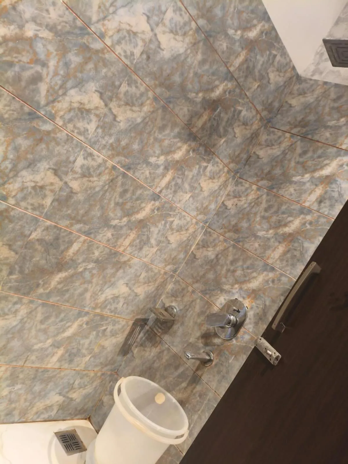 Shower in Luxe Stayz Avi Inn