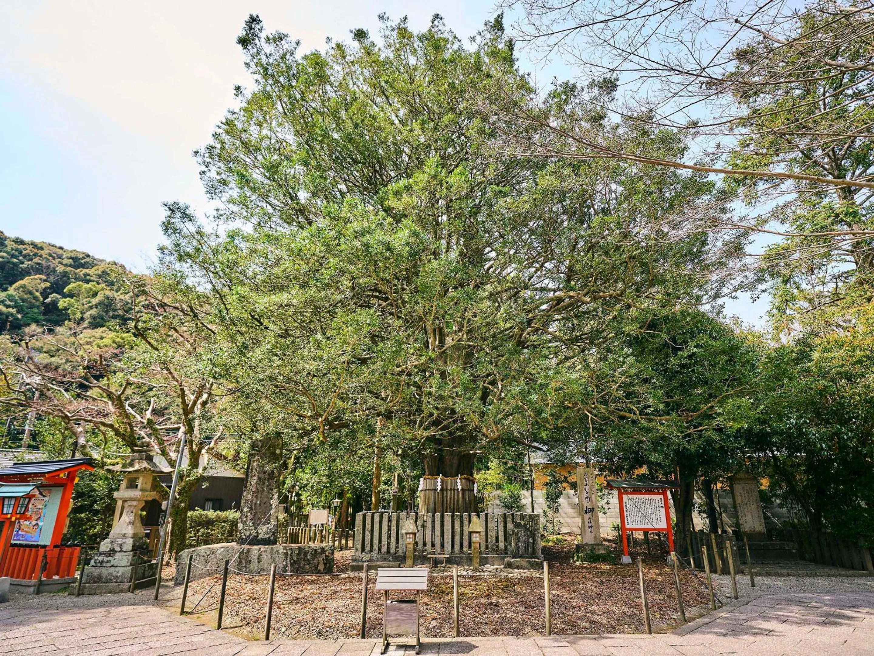 Nearby landmark in Kokoyui Guesthouse Shingu