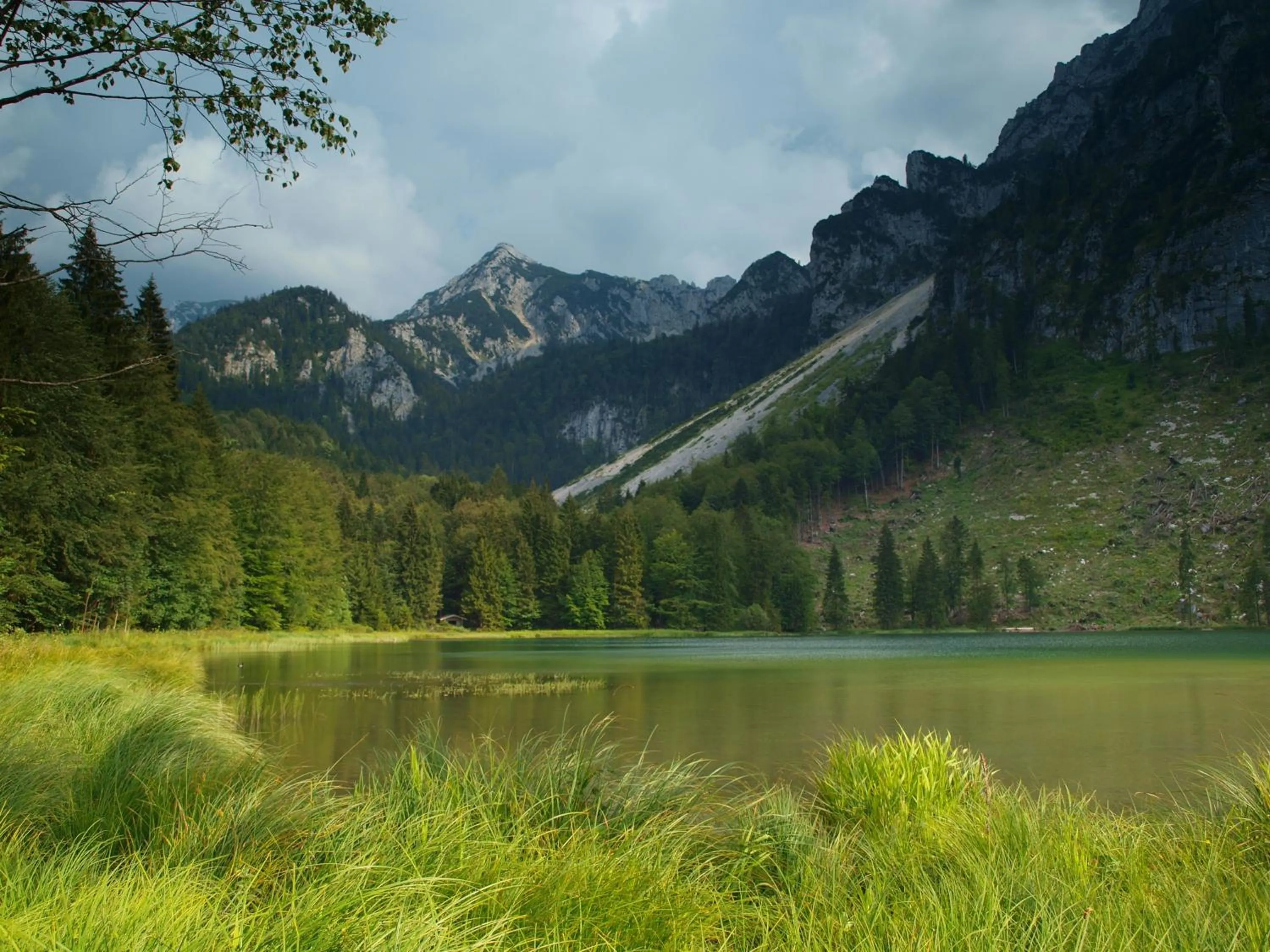 Natural landscape in Hubertus Appartements Inzell