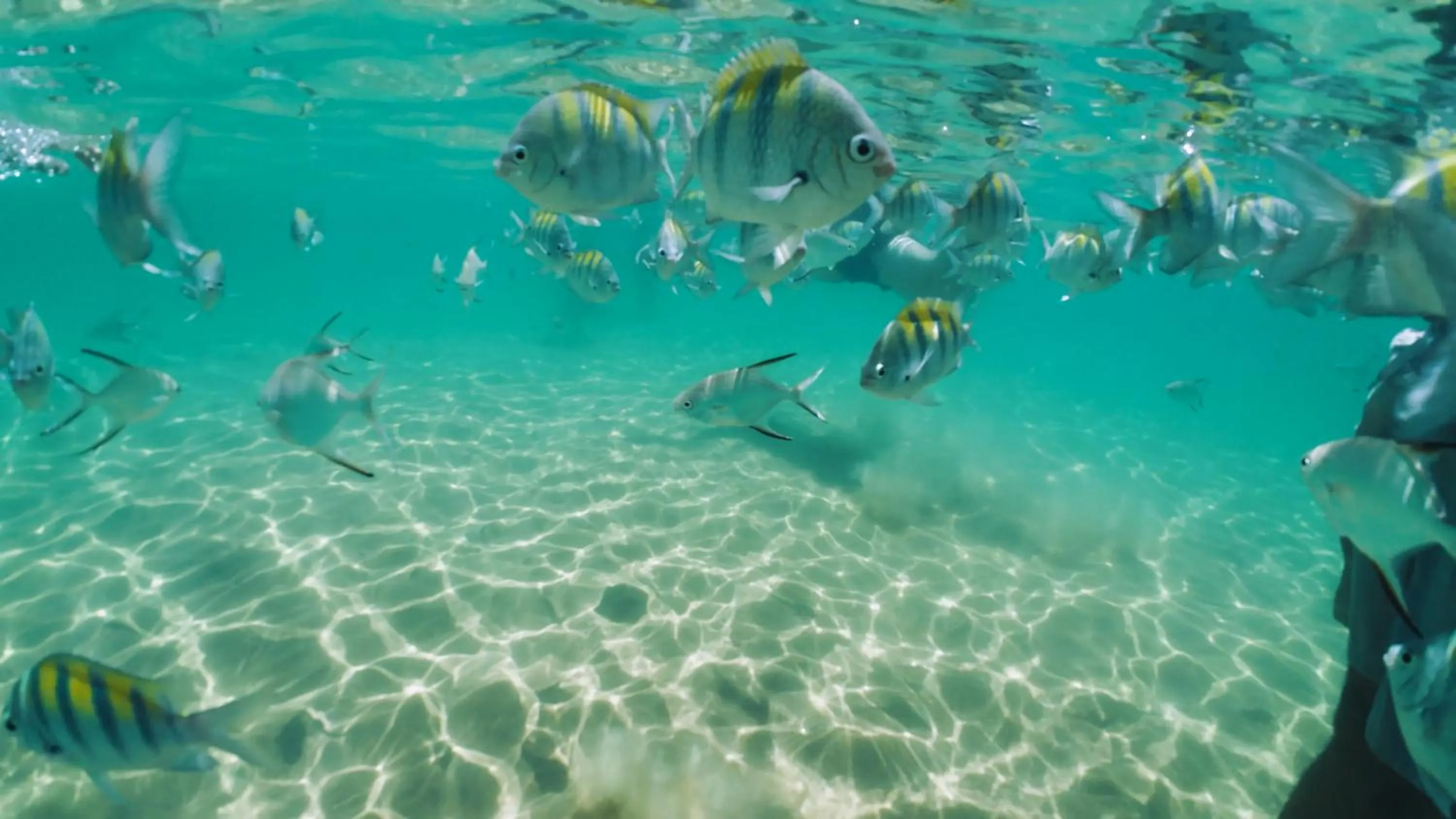 Pousada Ponta da Baleia