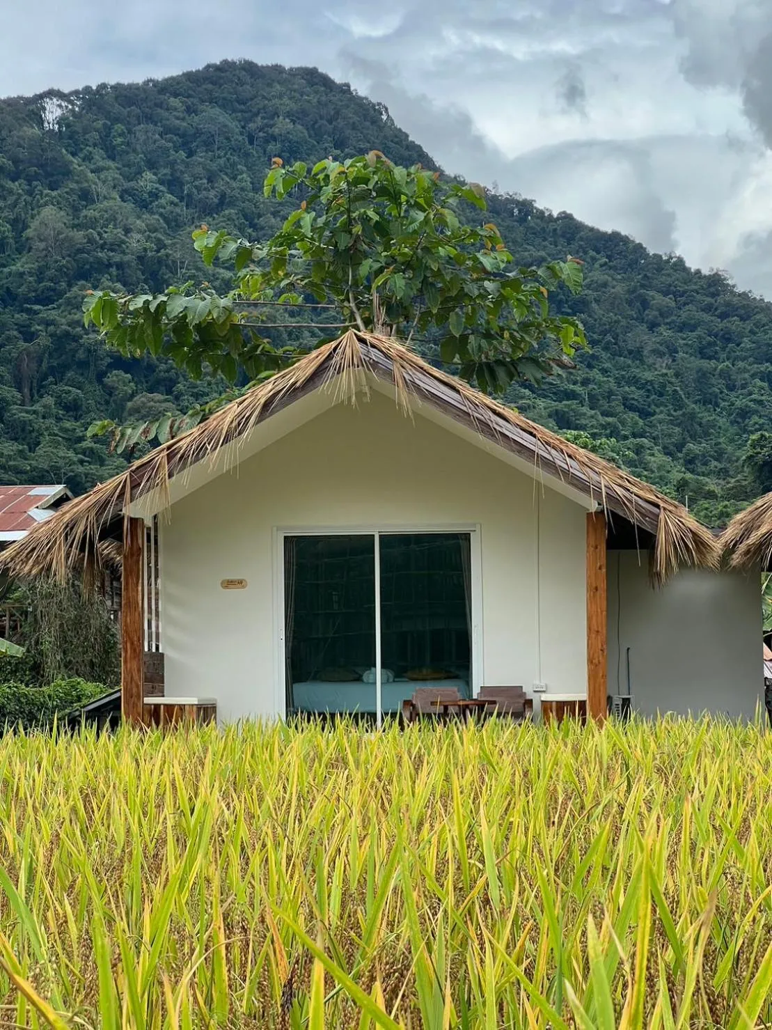 สะปันดีวิว Sapan Dee View บ่อเกลือ น่าน