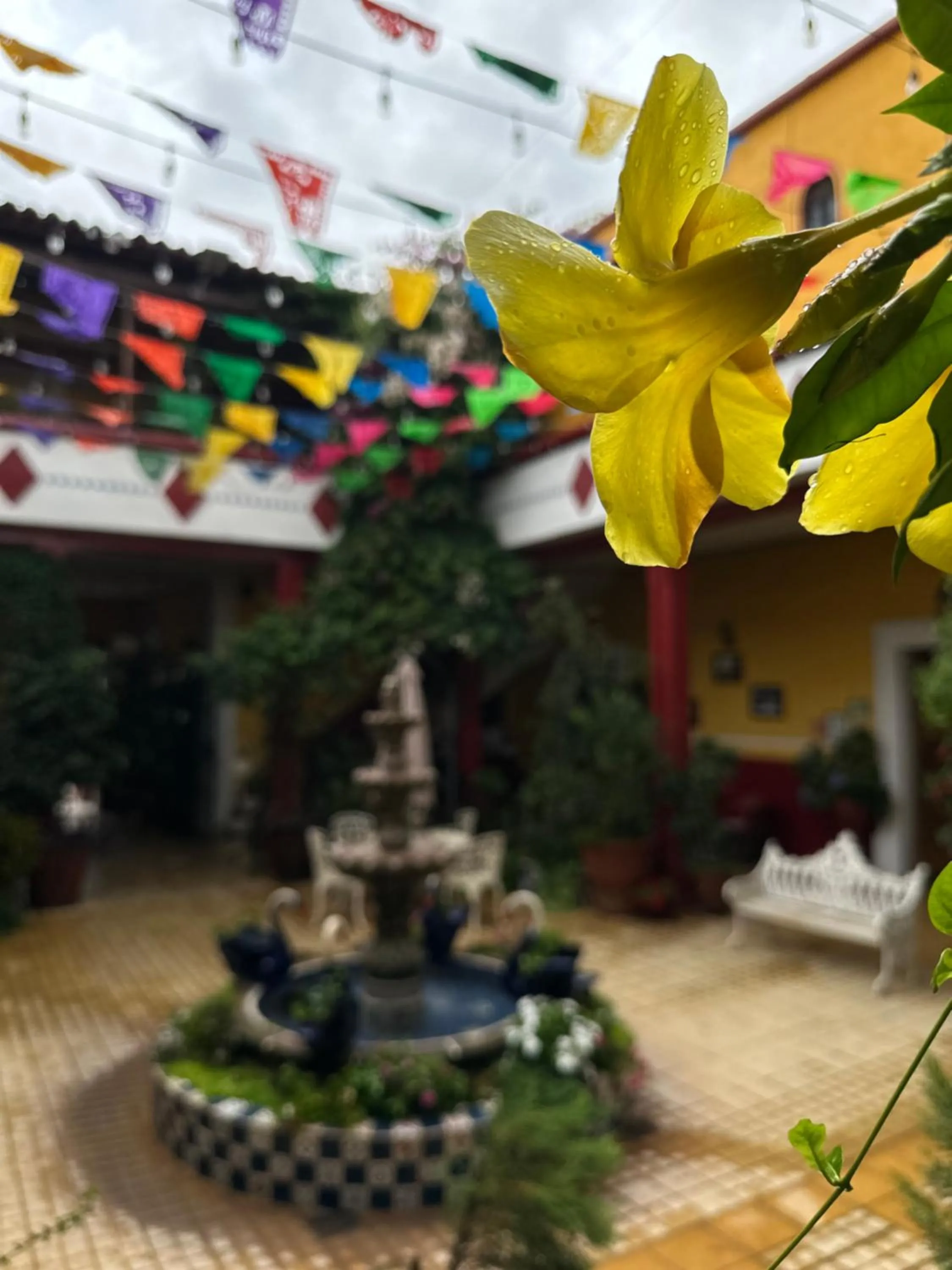 Patio in Copa de Oro Hotel Boutique