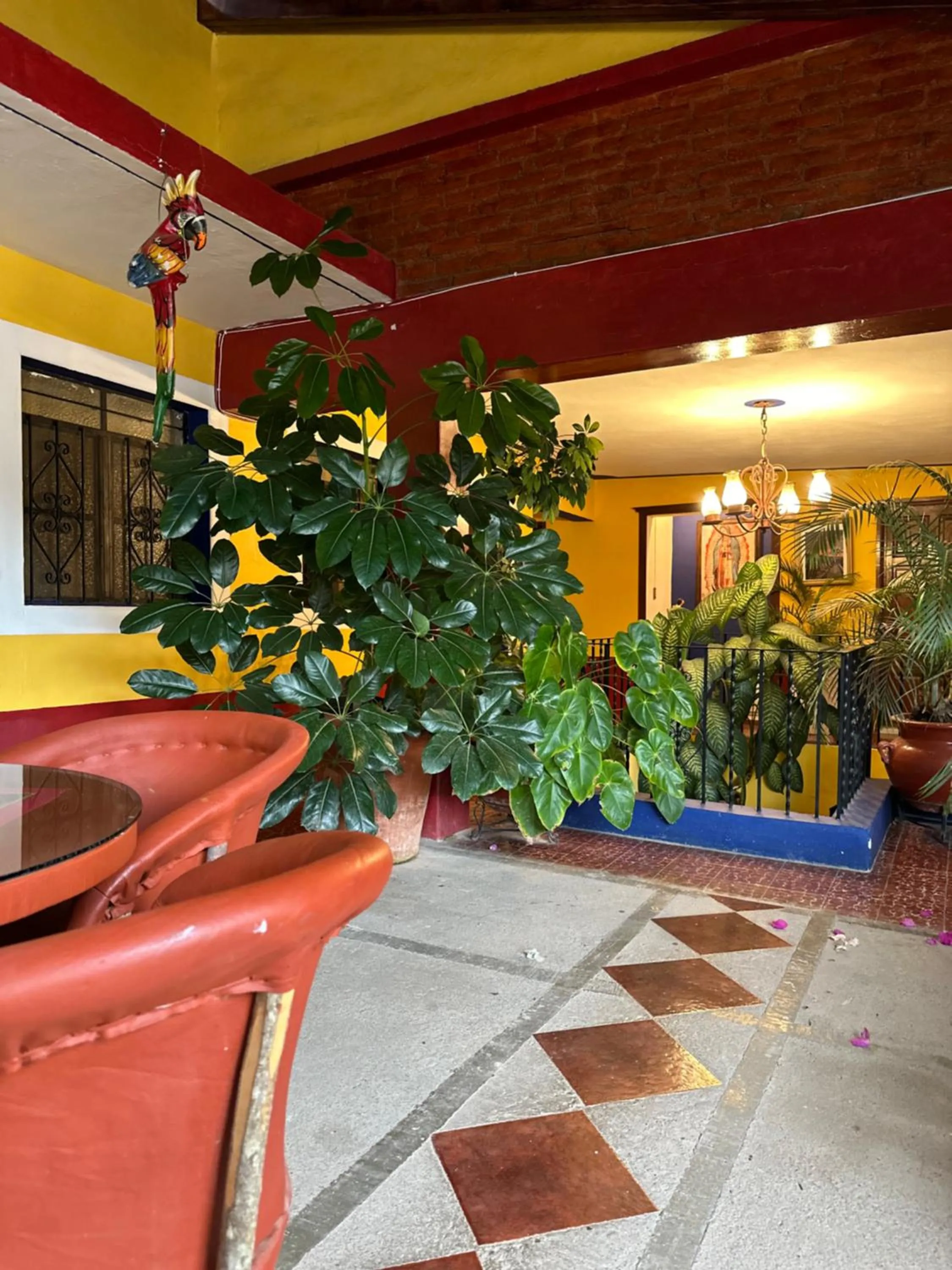 Garden view in Copa de Oro Hotel Boutique