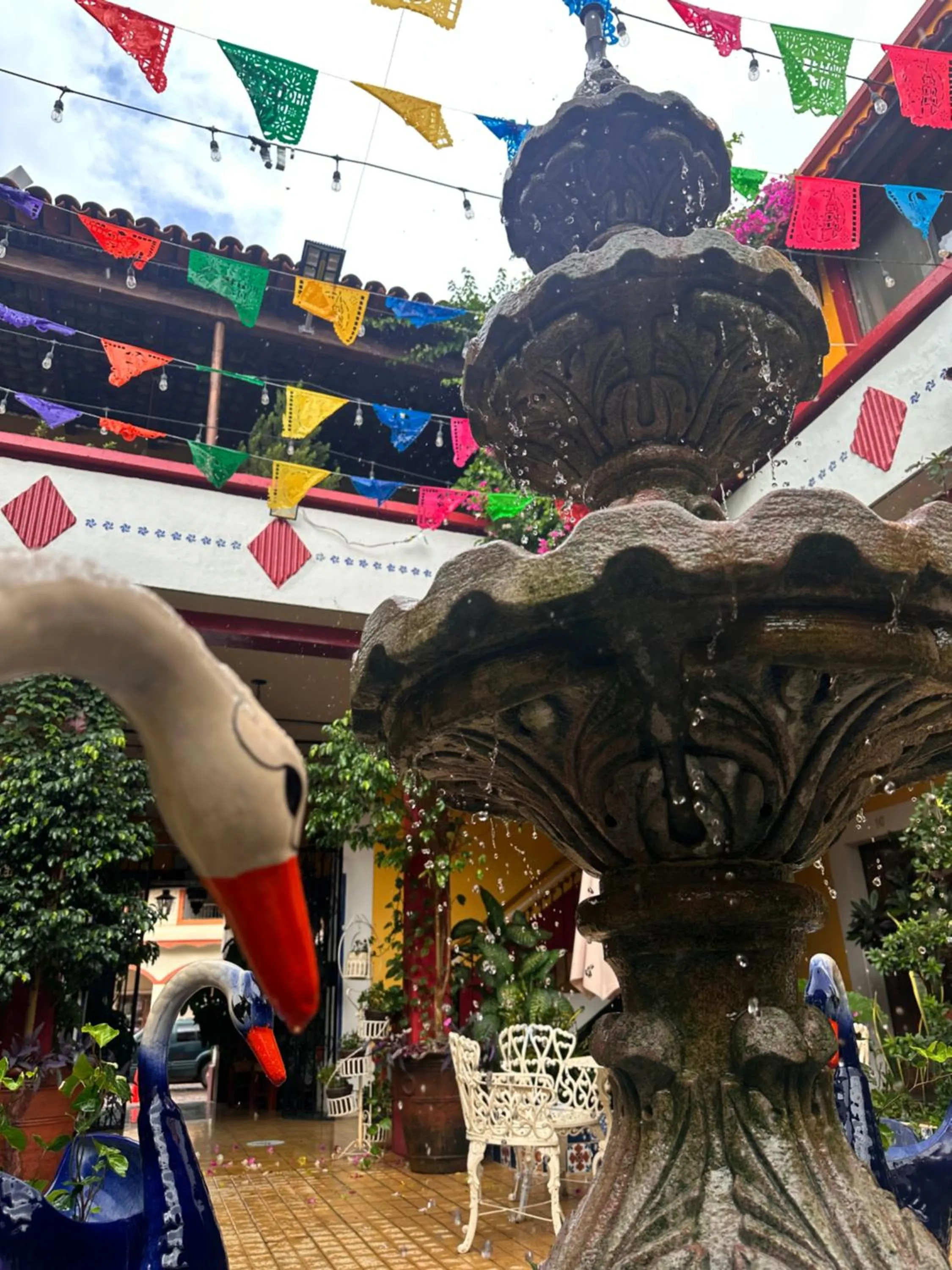 Garden in Copa de Oro Hotel Boutique