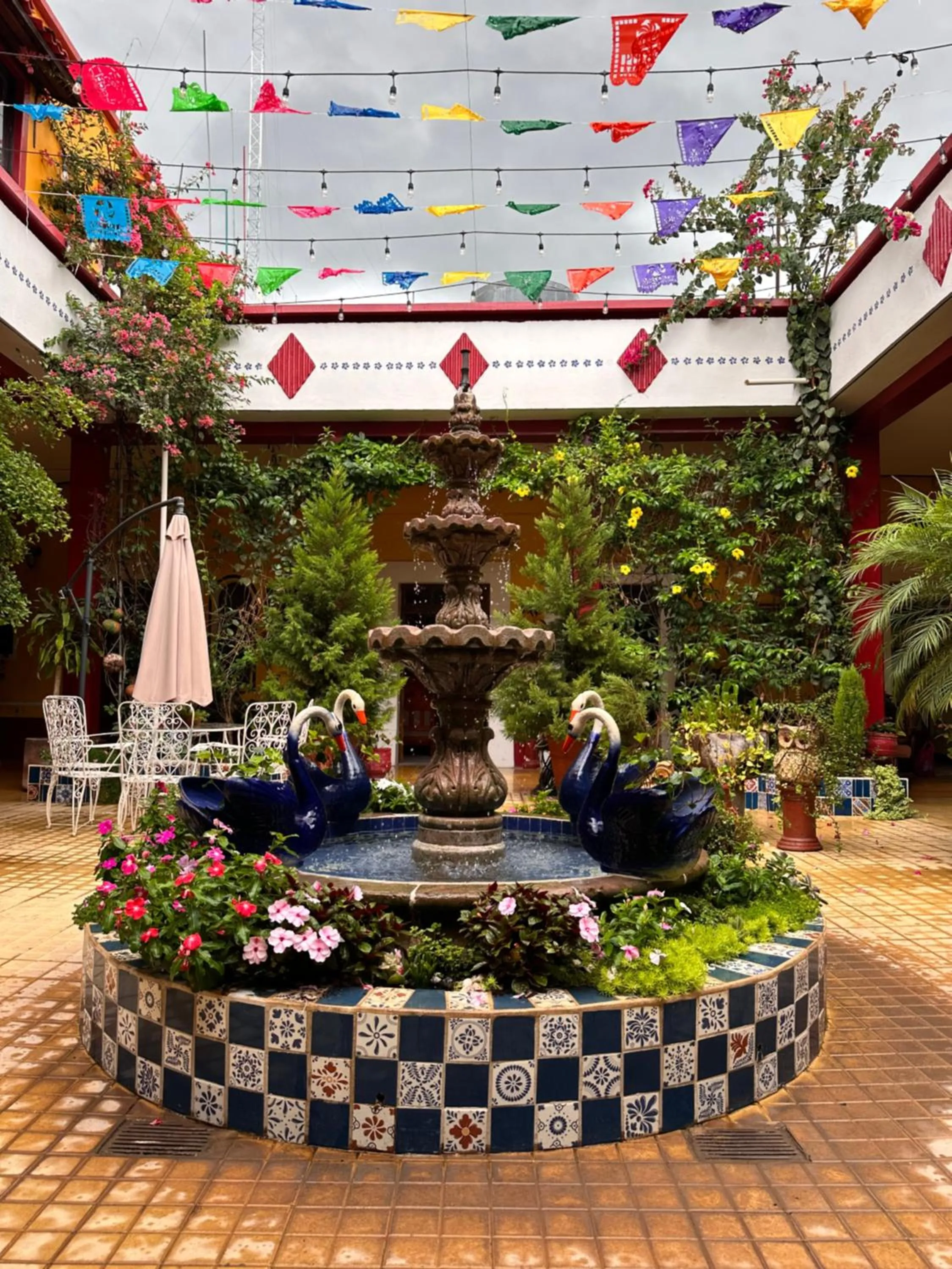 Garden in Copa de Oro Hotel Boutique
