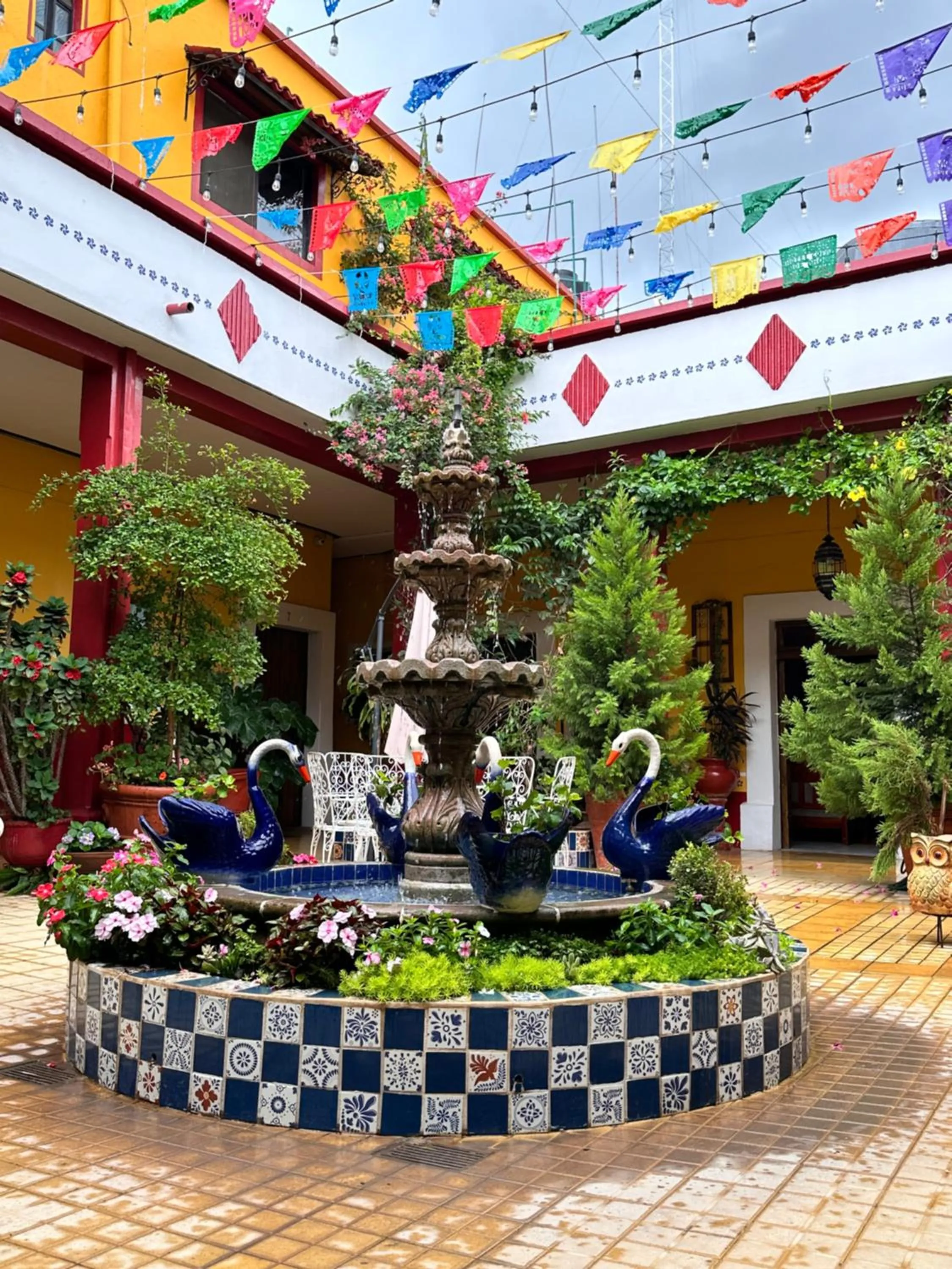 Garden in Copa de Oro Hotel Boutique