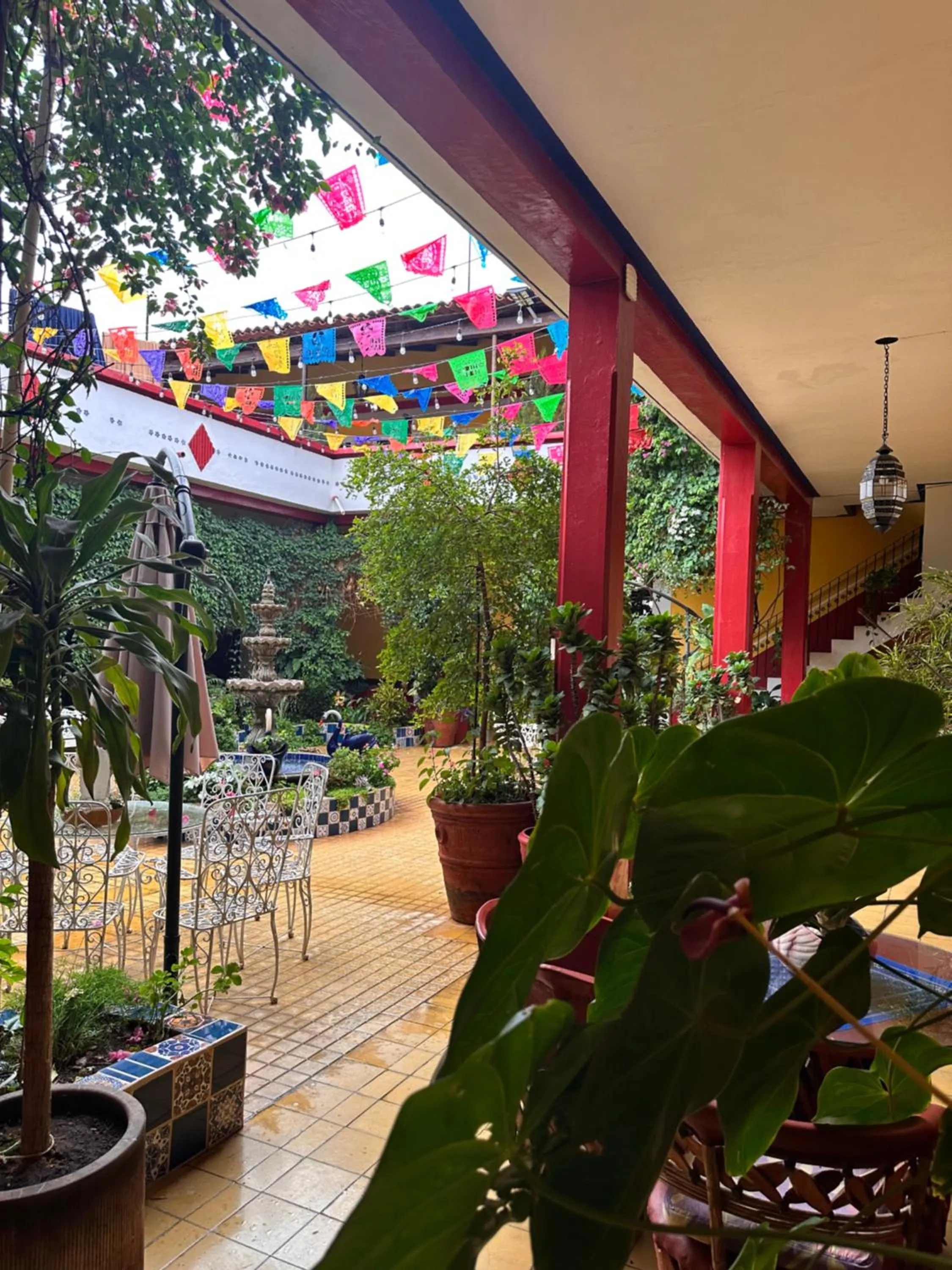 Patio in Copa de Oro Hotel Boutique