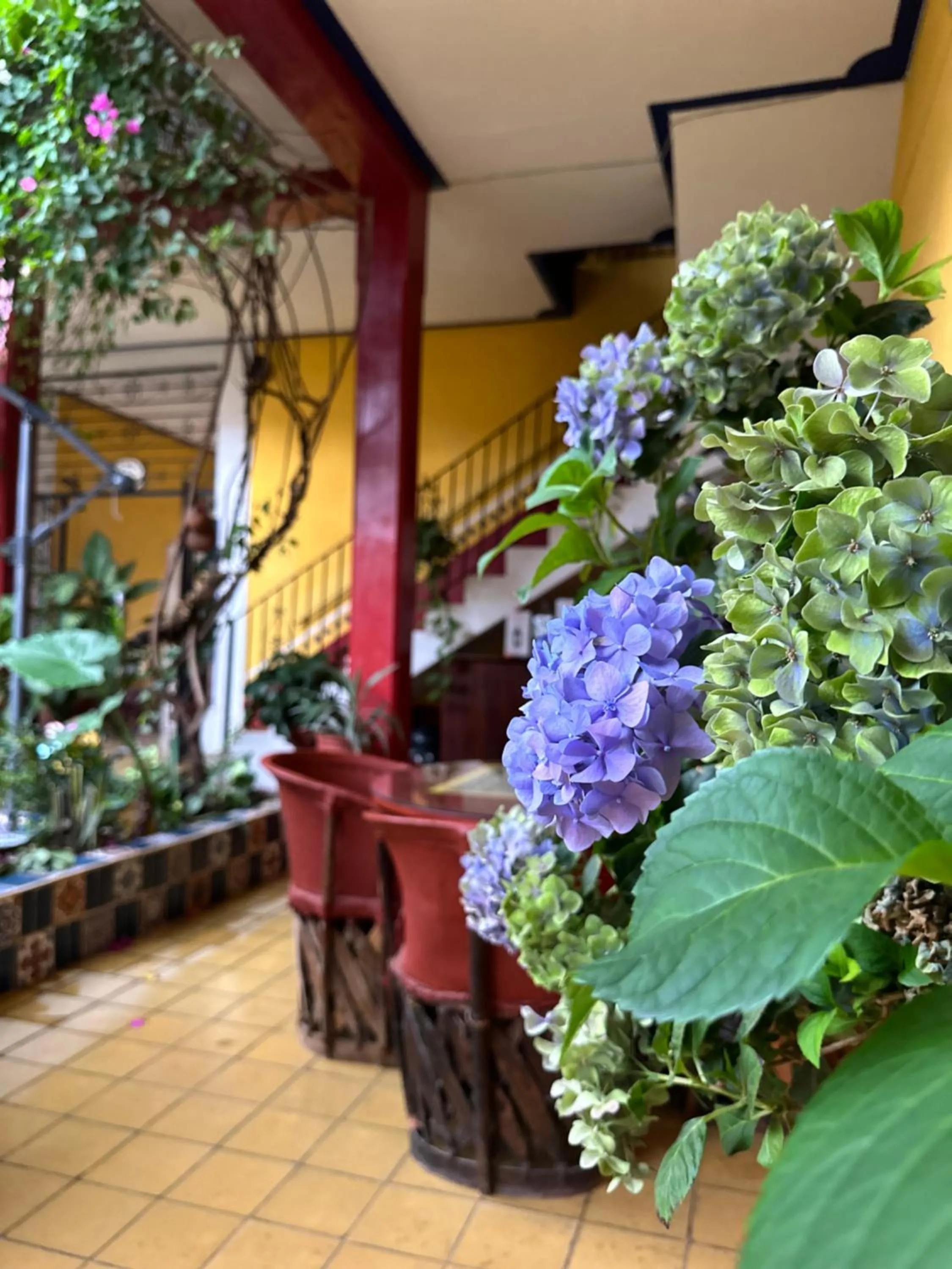Garden in Copa de Oro Hotel Boutique