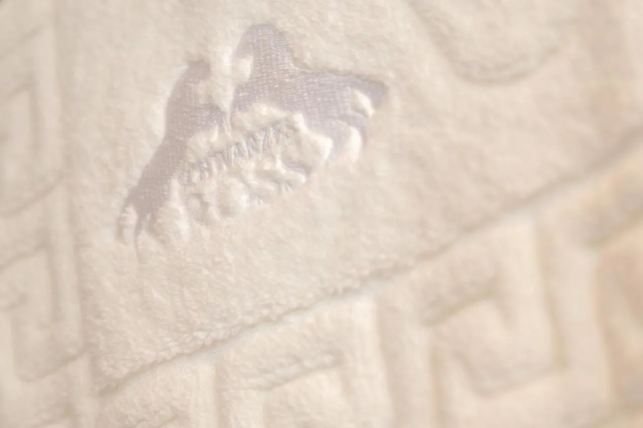 Hotel Schwarzes Ross