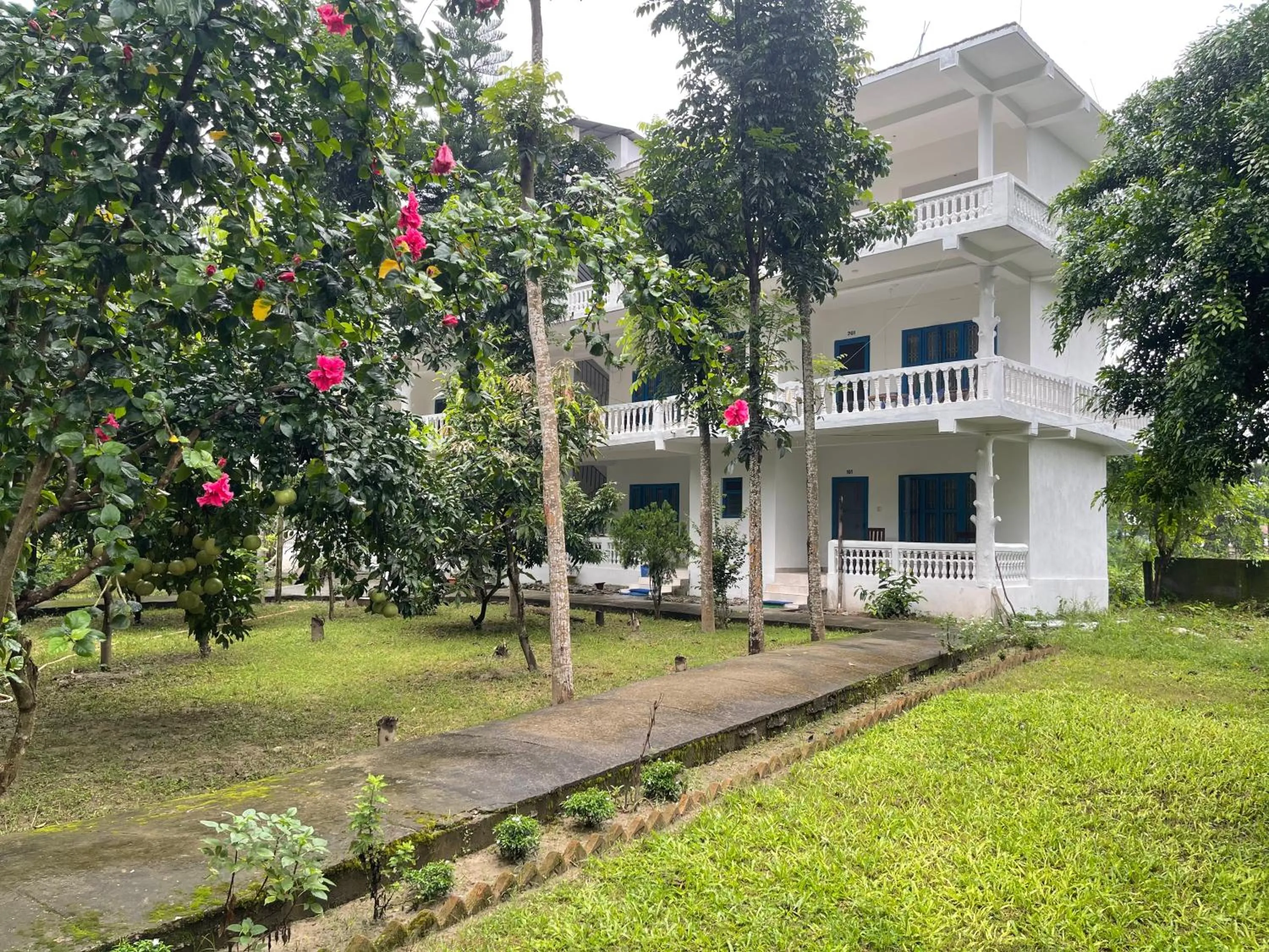 Hotel Misty Nepal