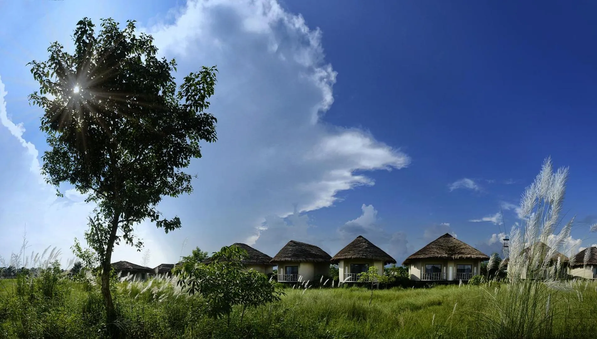 Property building in Barahi Jungle Lodge
