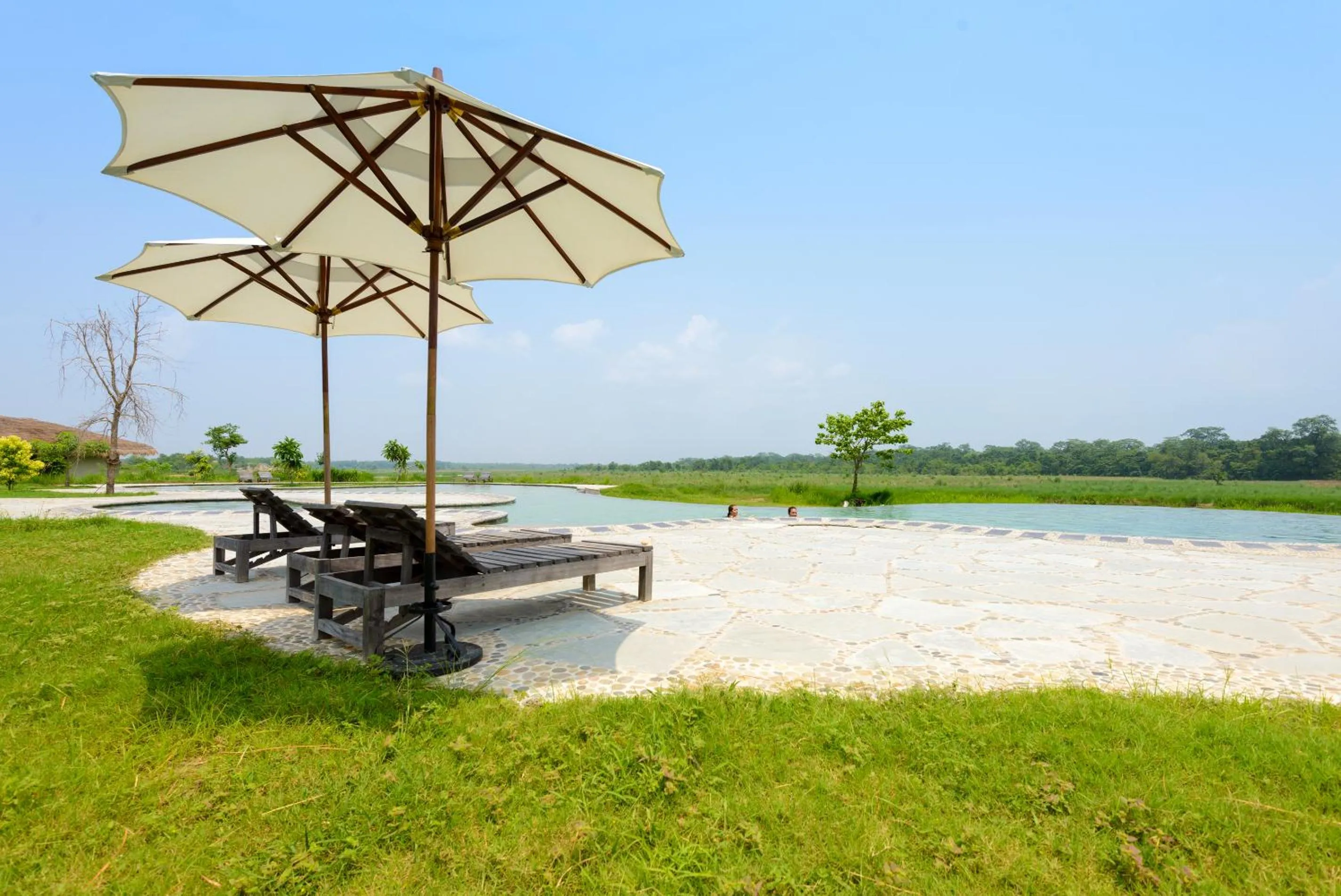 Natural landscape in Barahi Jungle Lodge