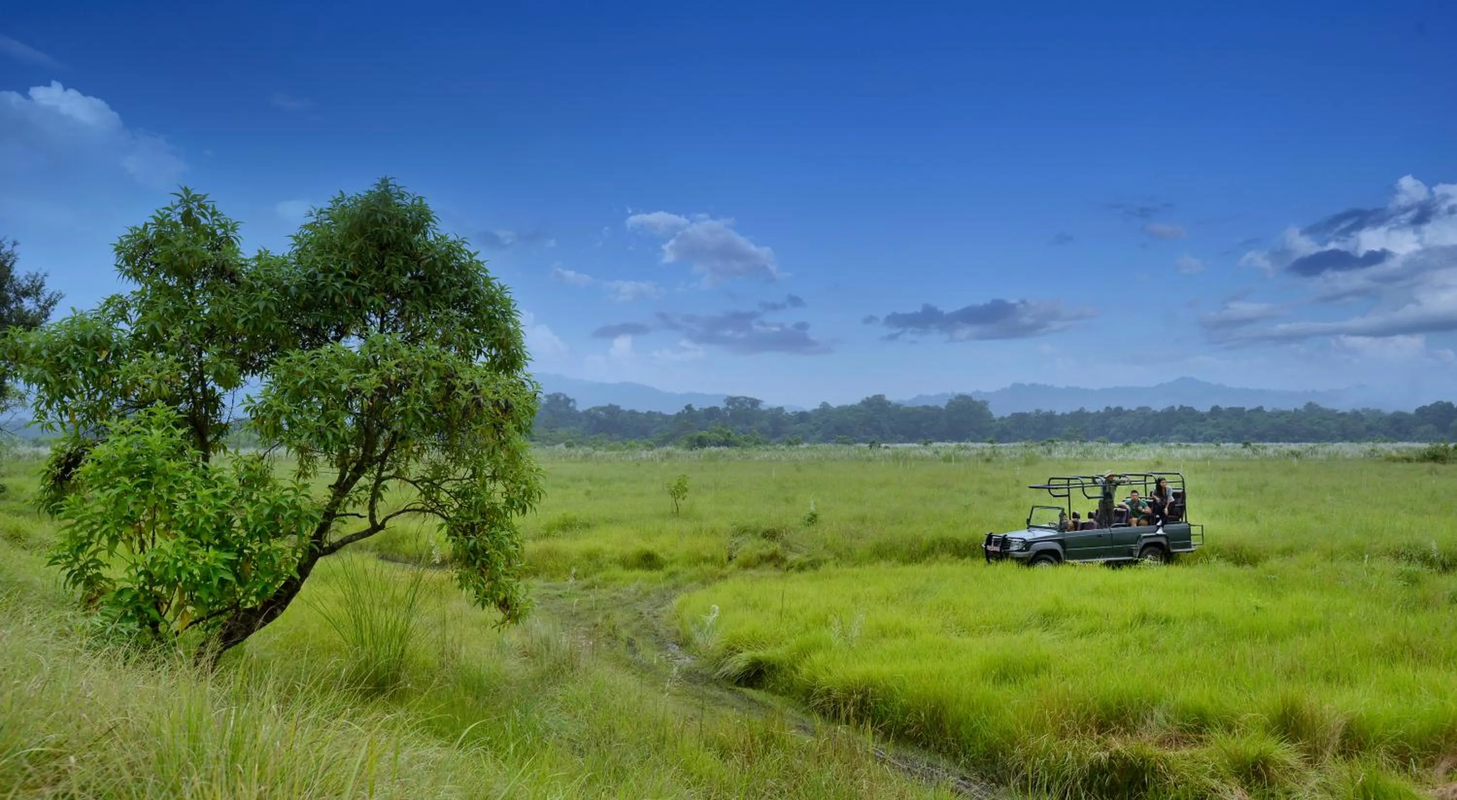 Activities in Barahi Jungle Lodge