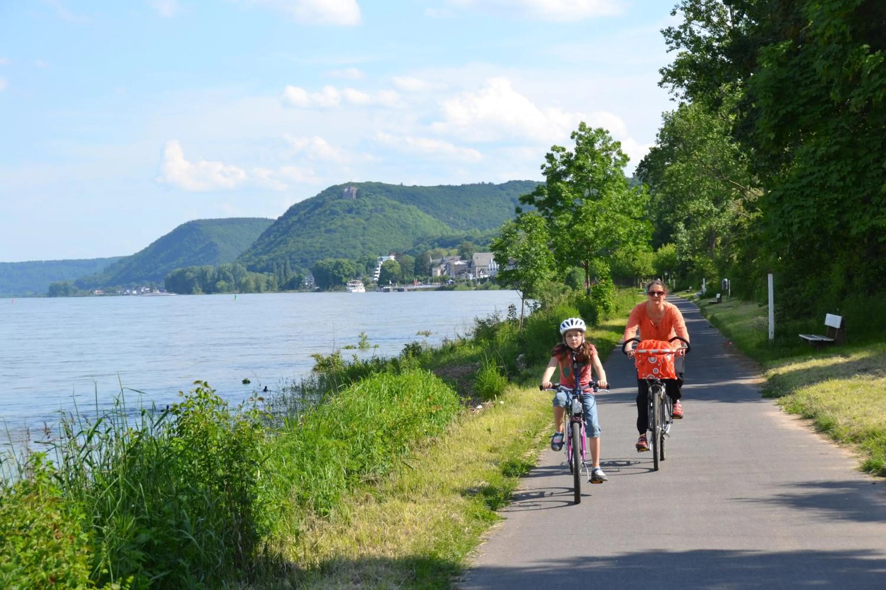 Area and facilities in Hotel Zur Mühle
