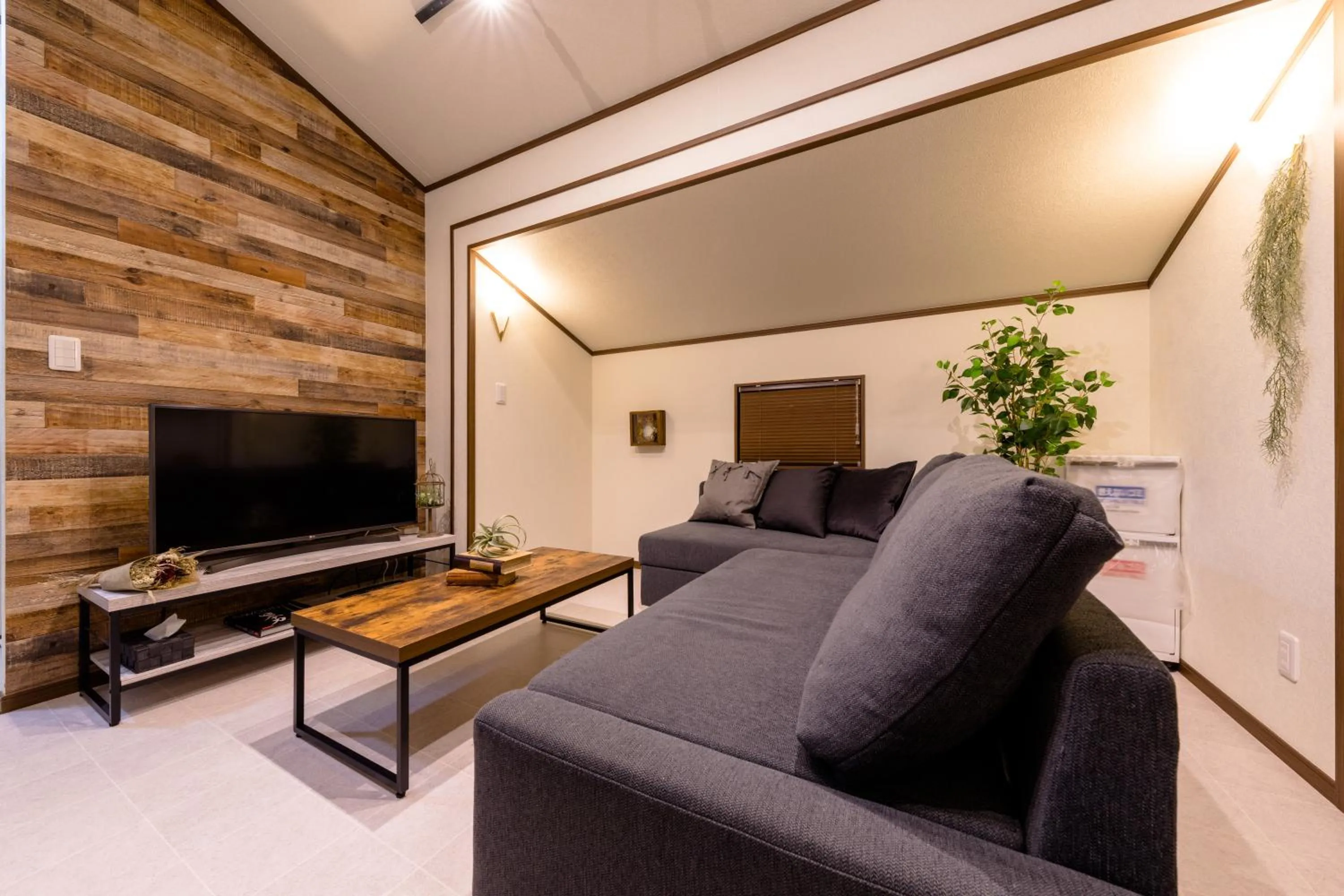 TV and multimedia in Dio