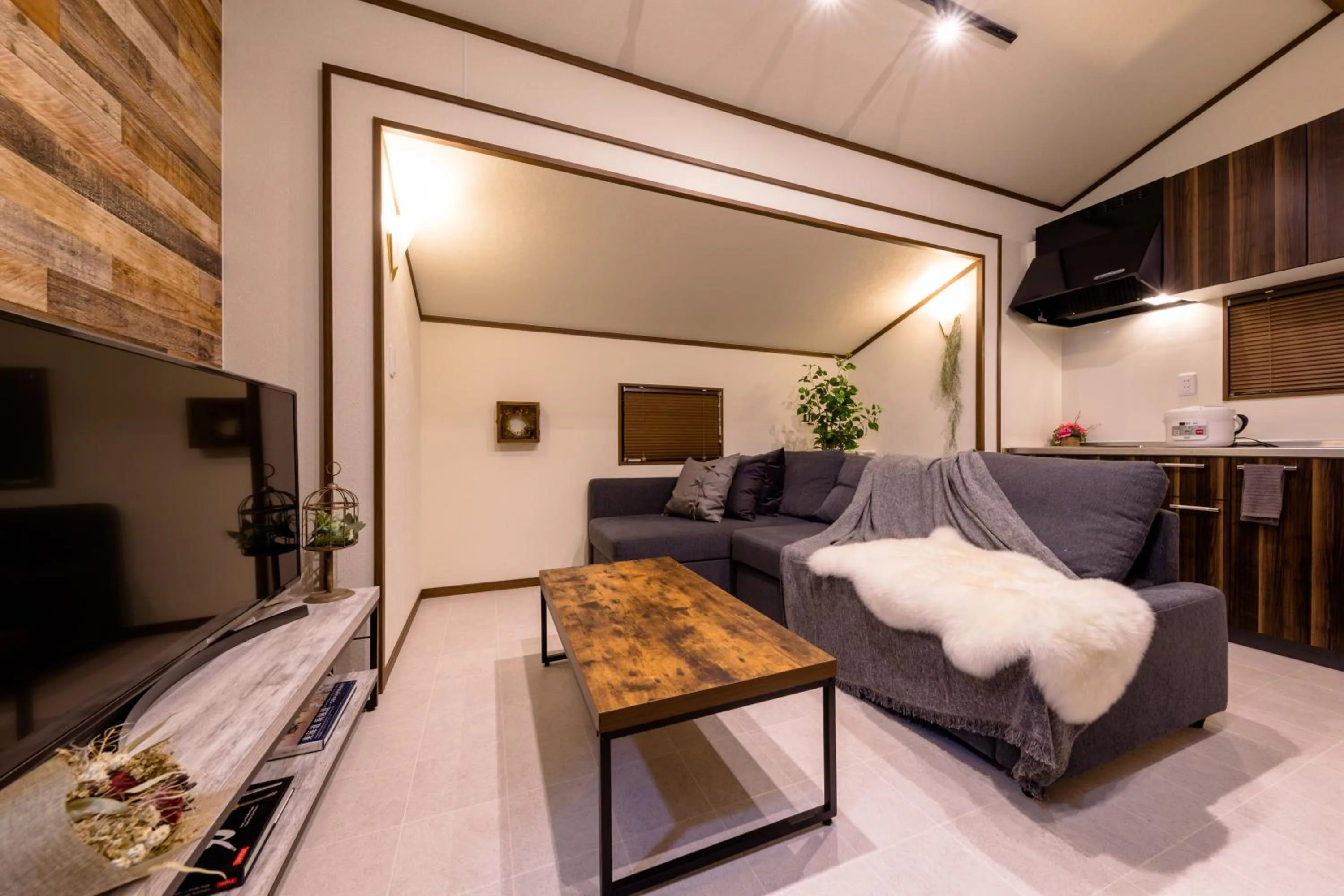 TV and multimedia in Dio