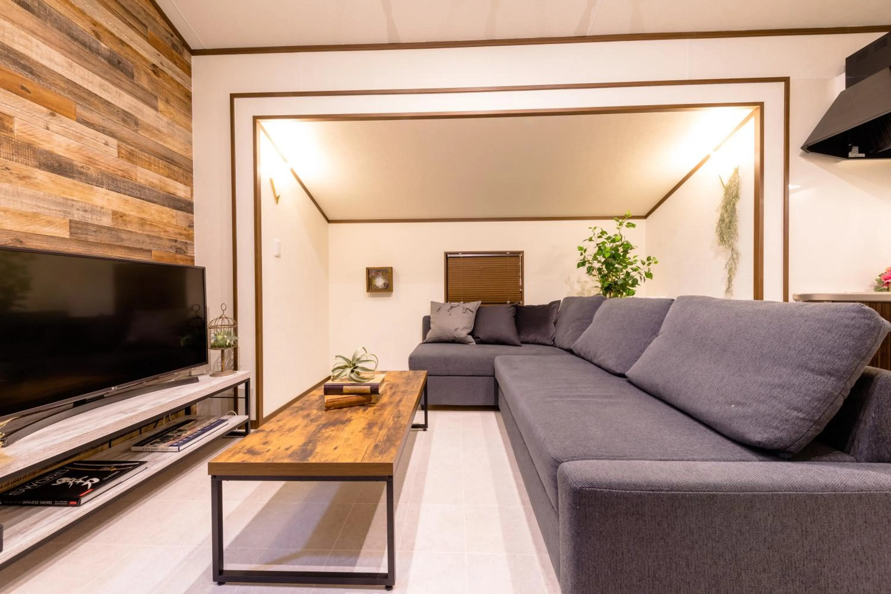 TV and multimedia in Dio