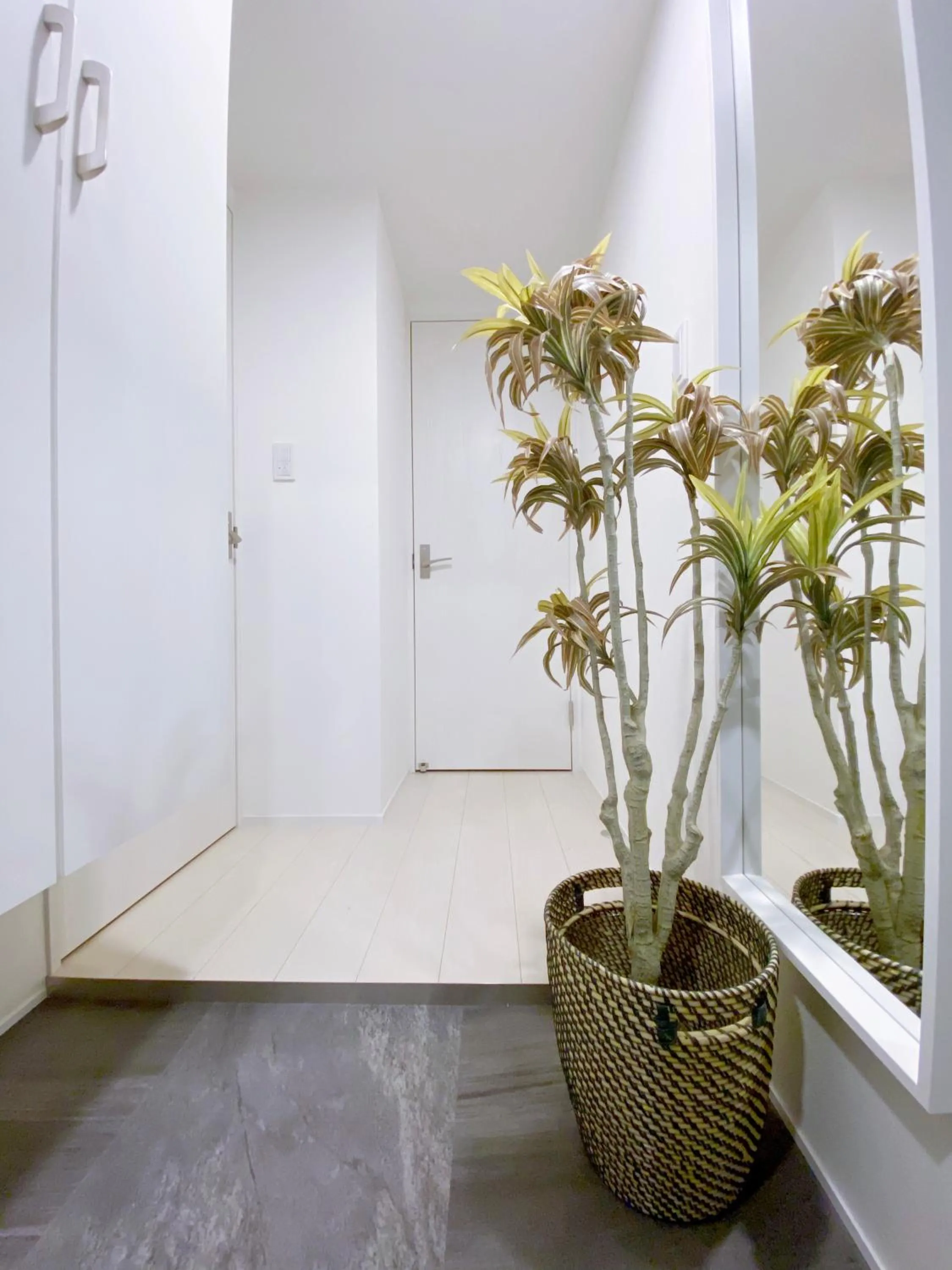 nestay apartment tokyo ginza