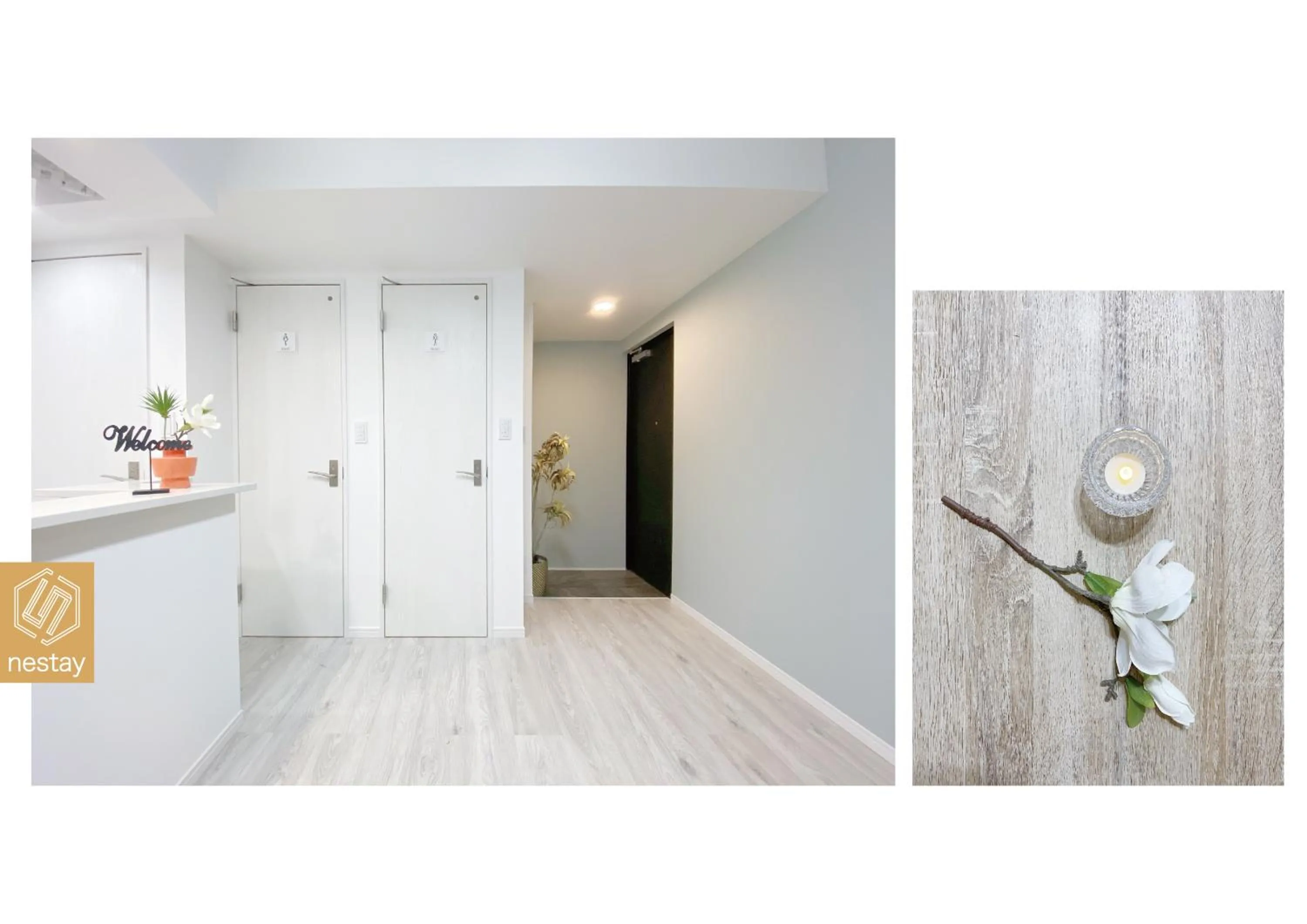 nestay apartment tokyo ginza