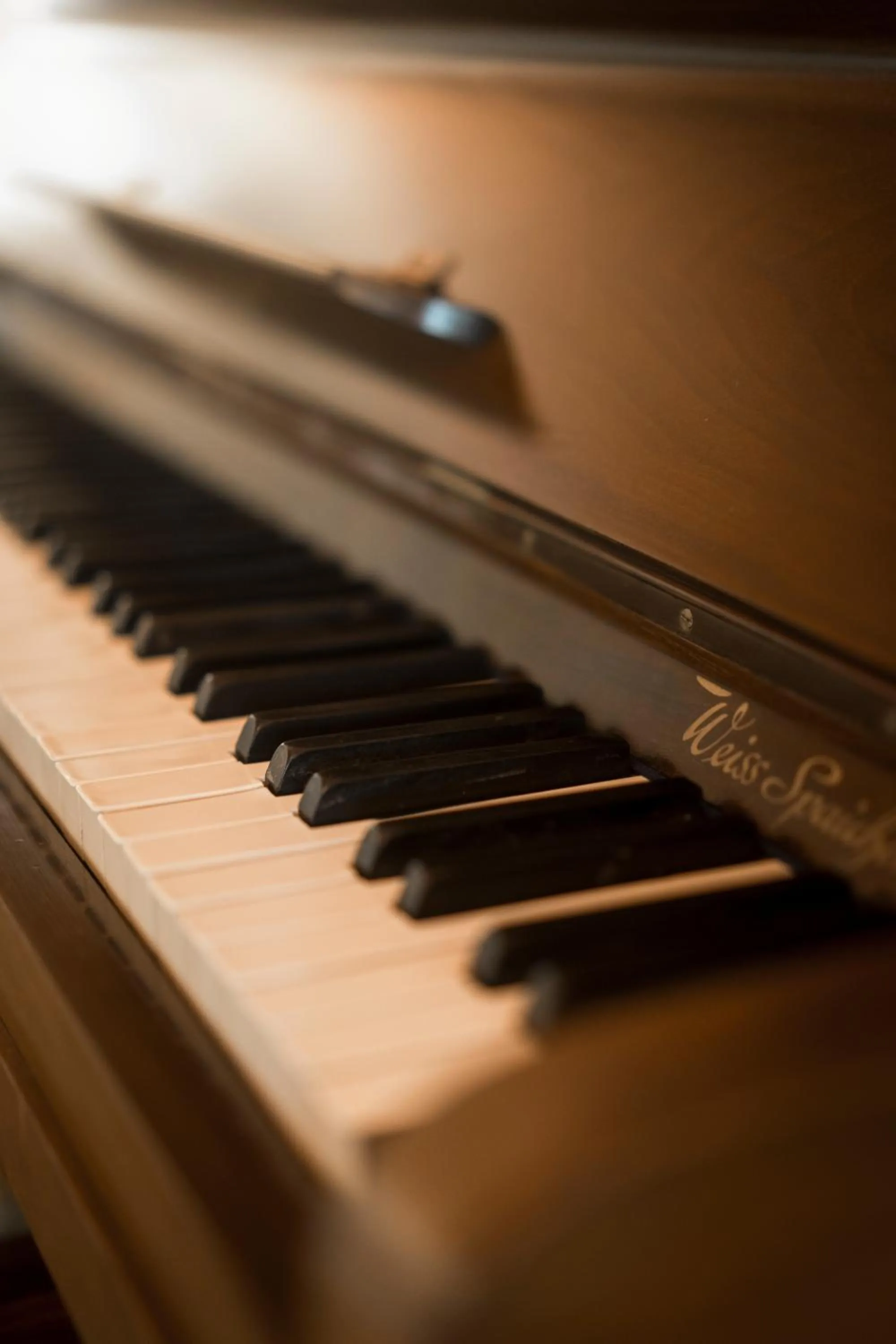 Lounge or bar in Hotel Mas del Sol