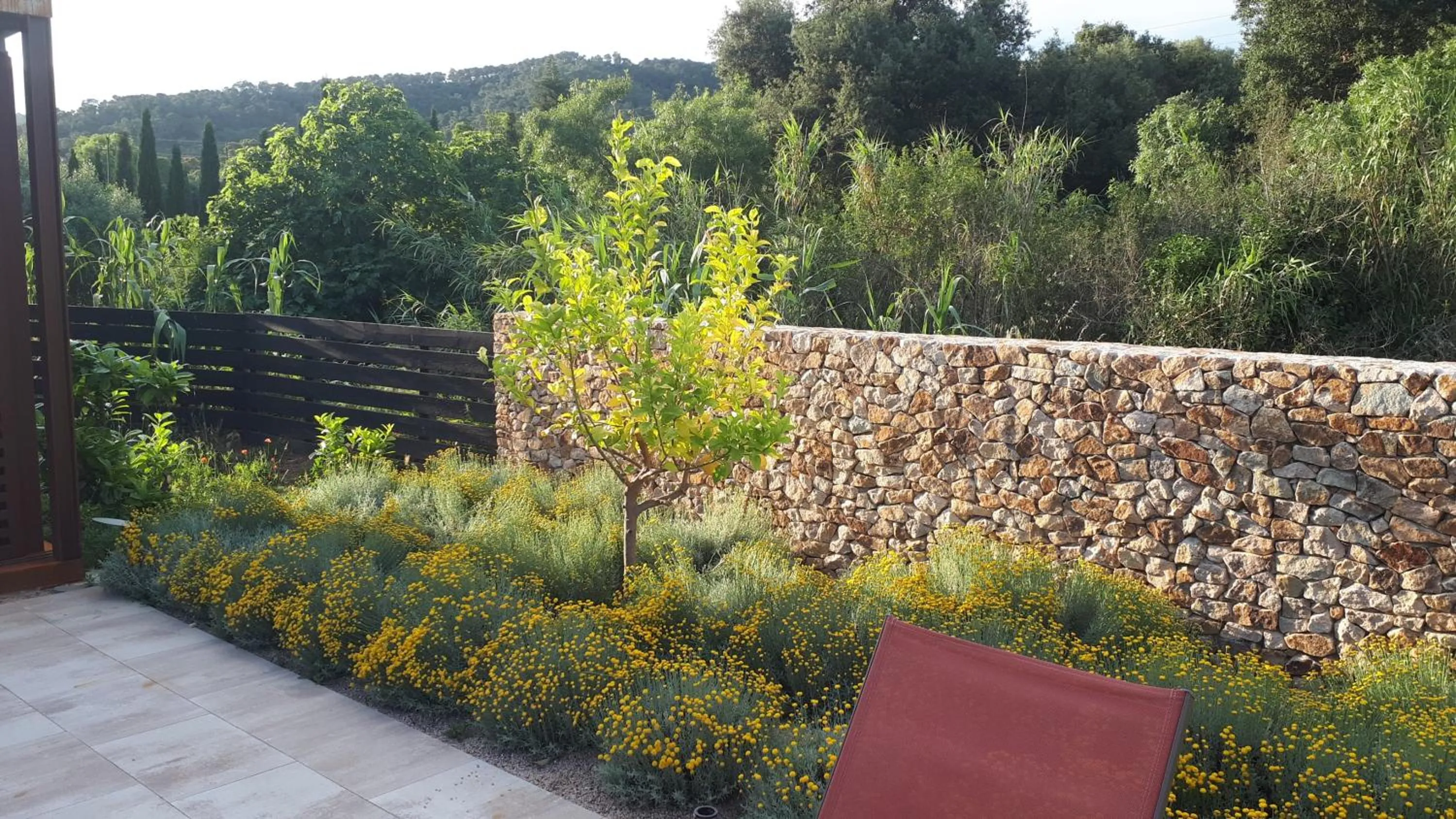Garden view in Hotel Mas del Sol