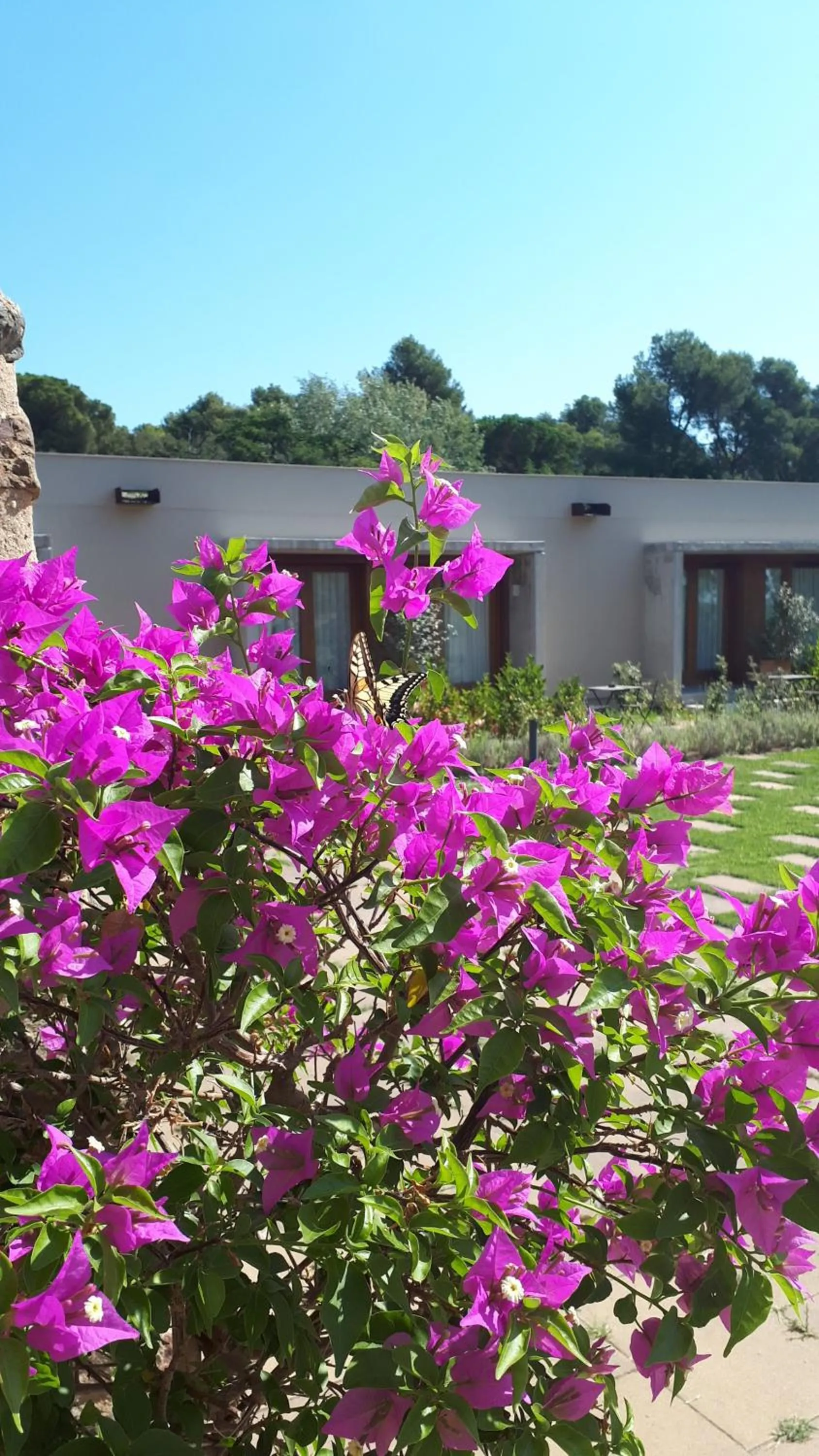 Property building in Hotel Mas del Sol