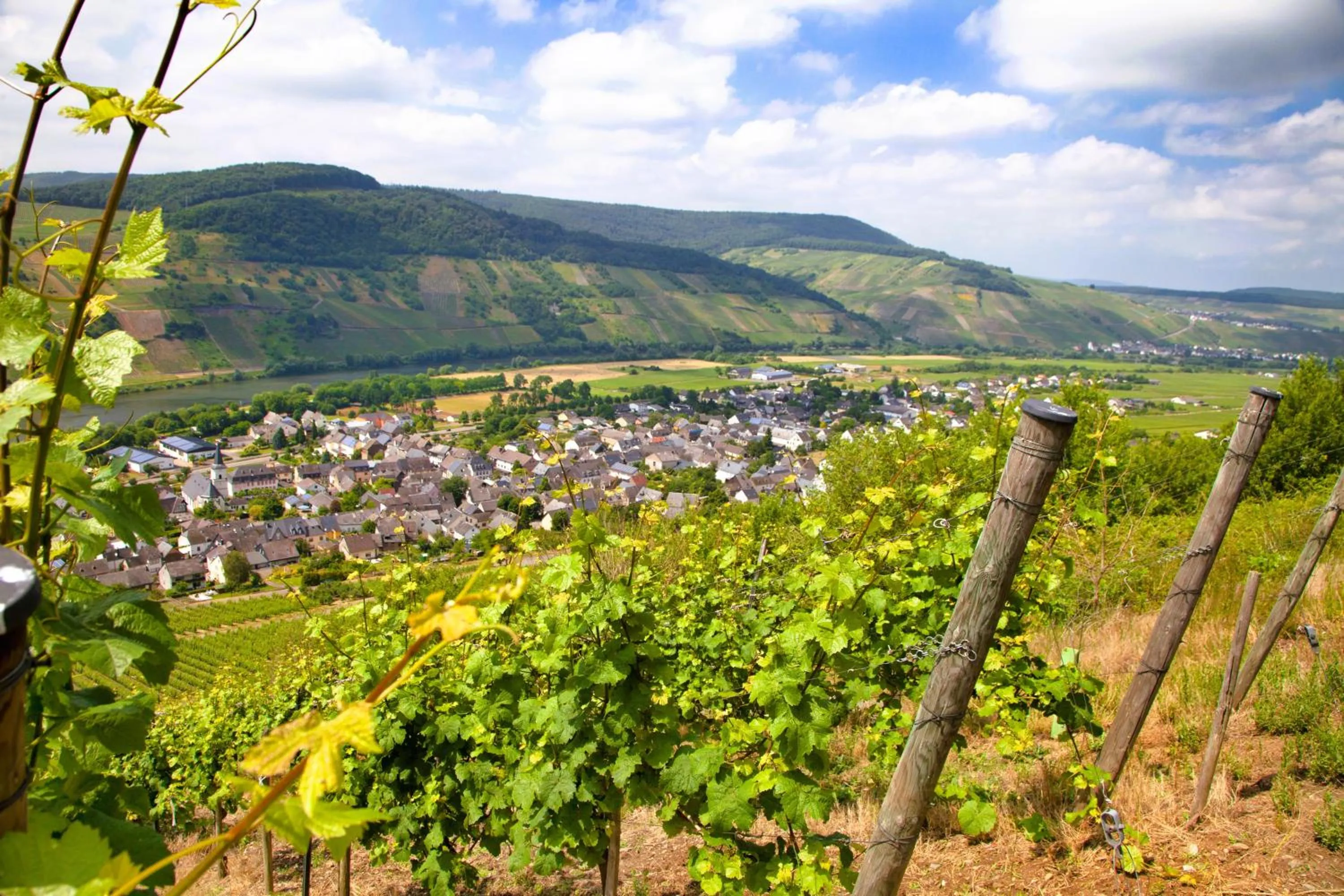 Area and facilities in Moselhotel Weinhaus Simon `Sauna`Restaurant`ELadesäule