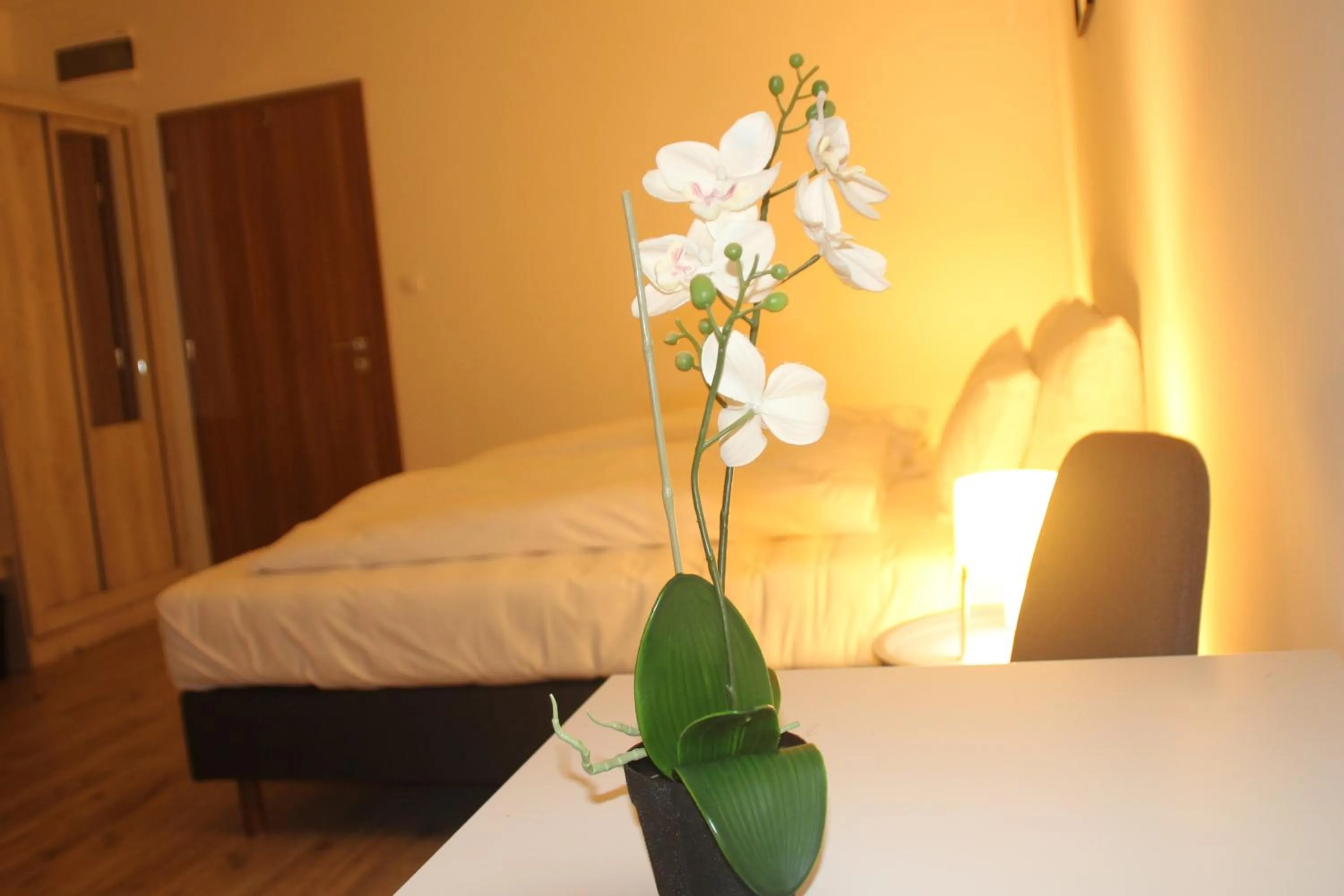 Night, Bed in Vecsési Rendezvényközpont és Panzió