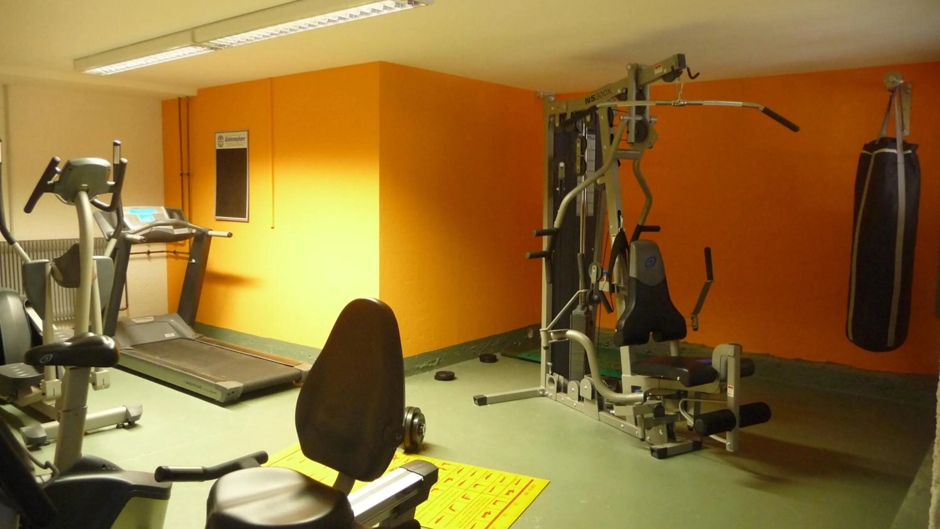 Fitness centre/facilities in Biovita Hotel Alpi