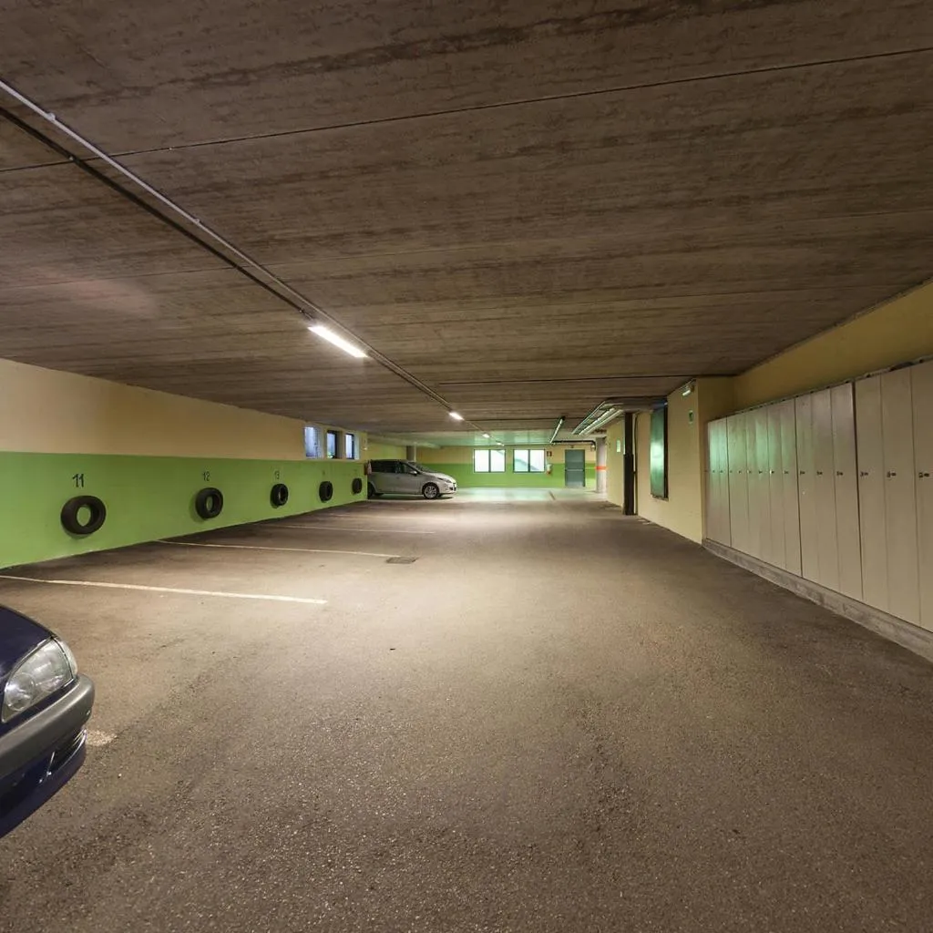 Parking in Biovita Hotel Alpi