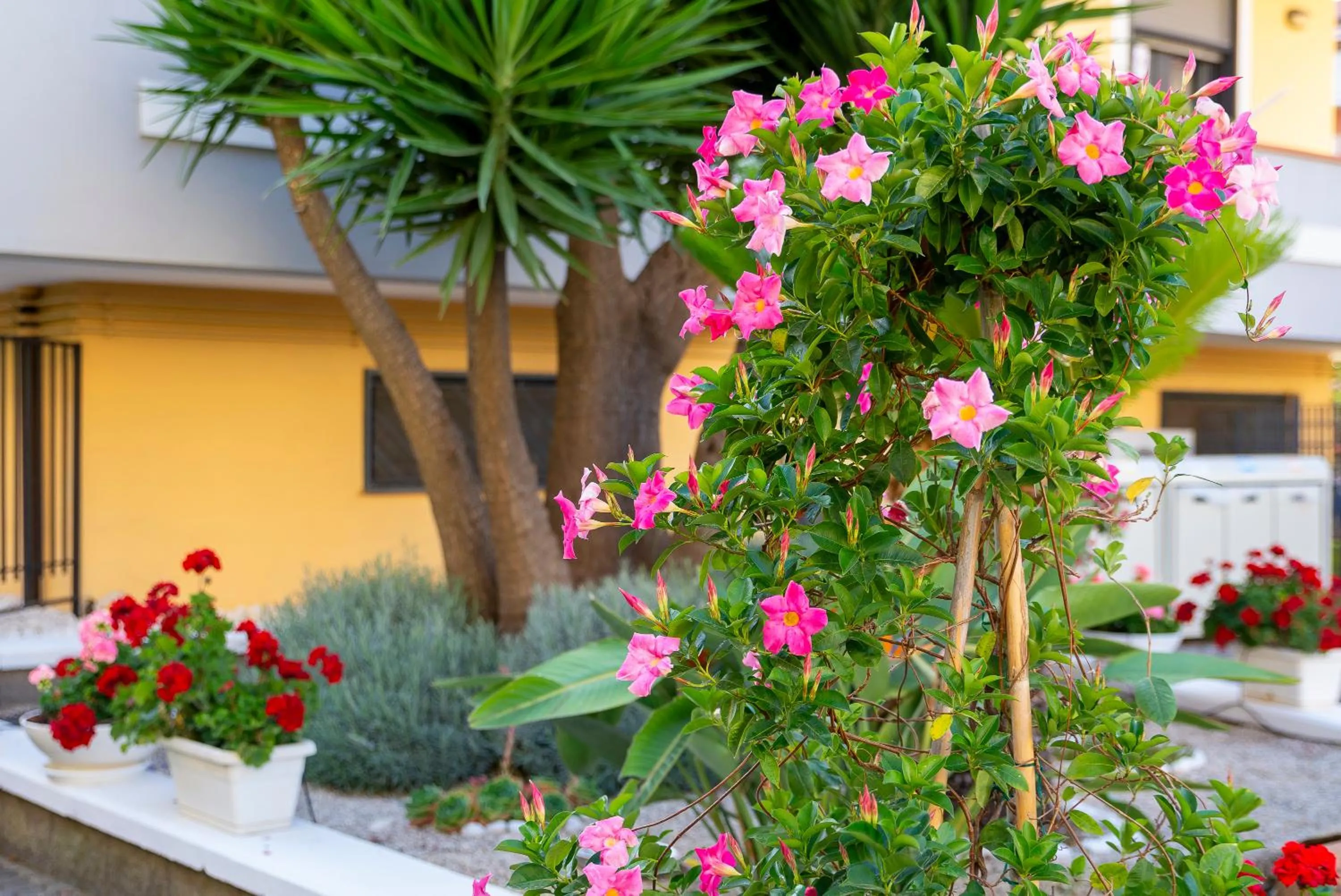 Spring in Bed and Breakfast Marlè