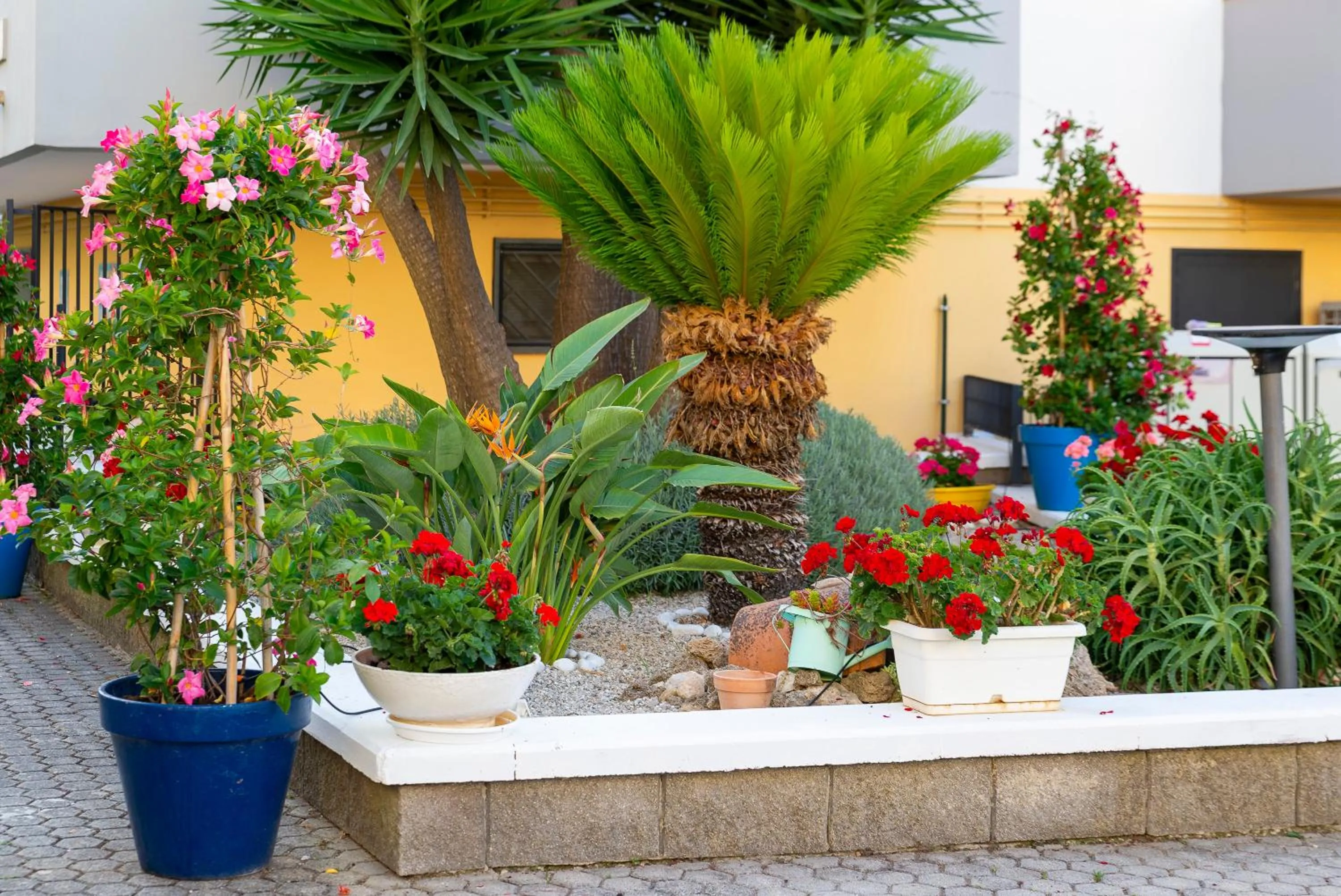 Day in Bed and Breakfast Marlè