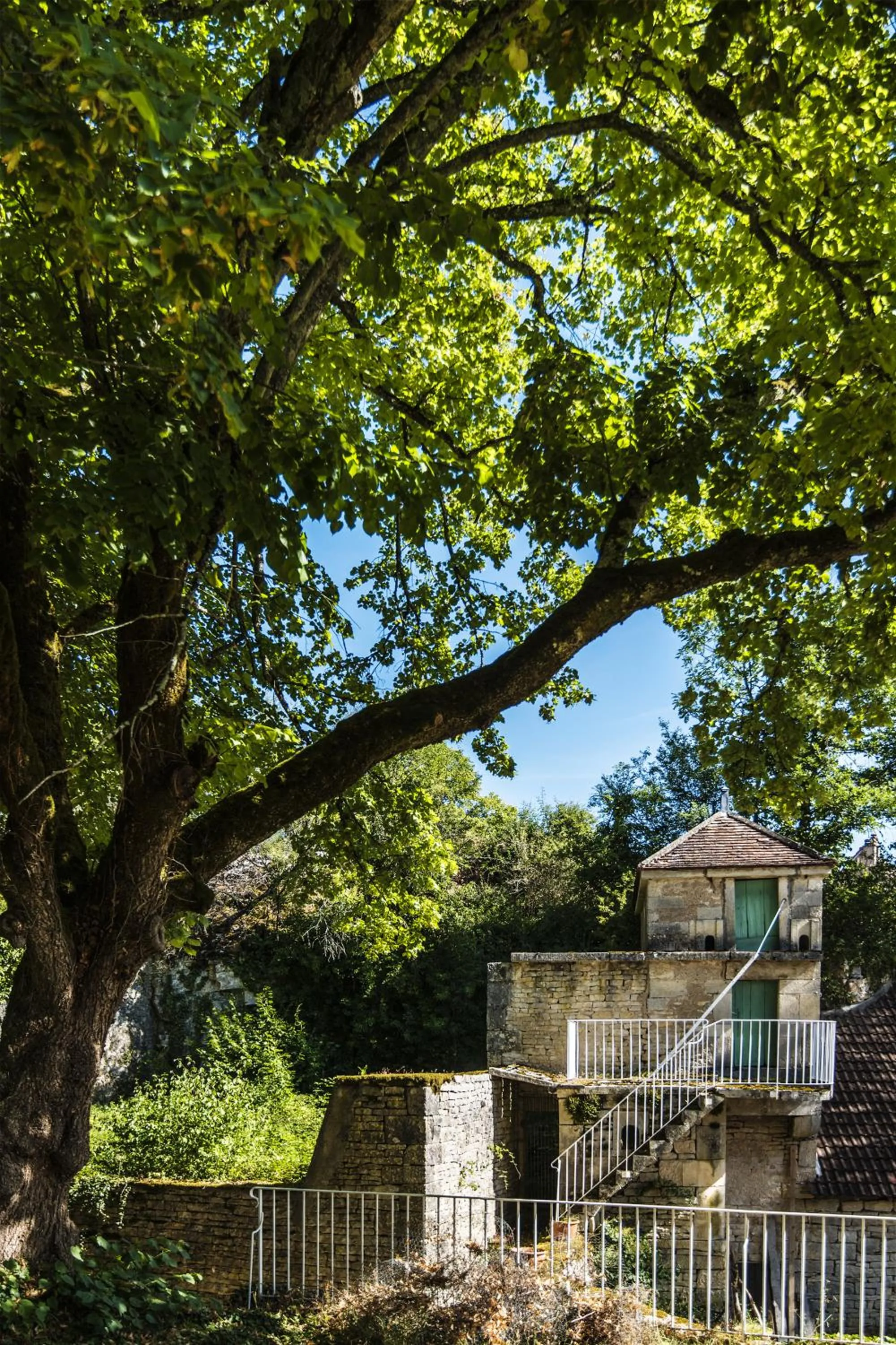 Garden in Le Domaine des Carriers - Gites