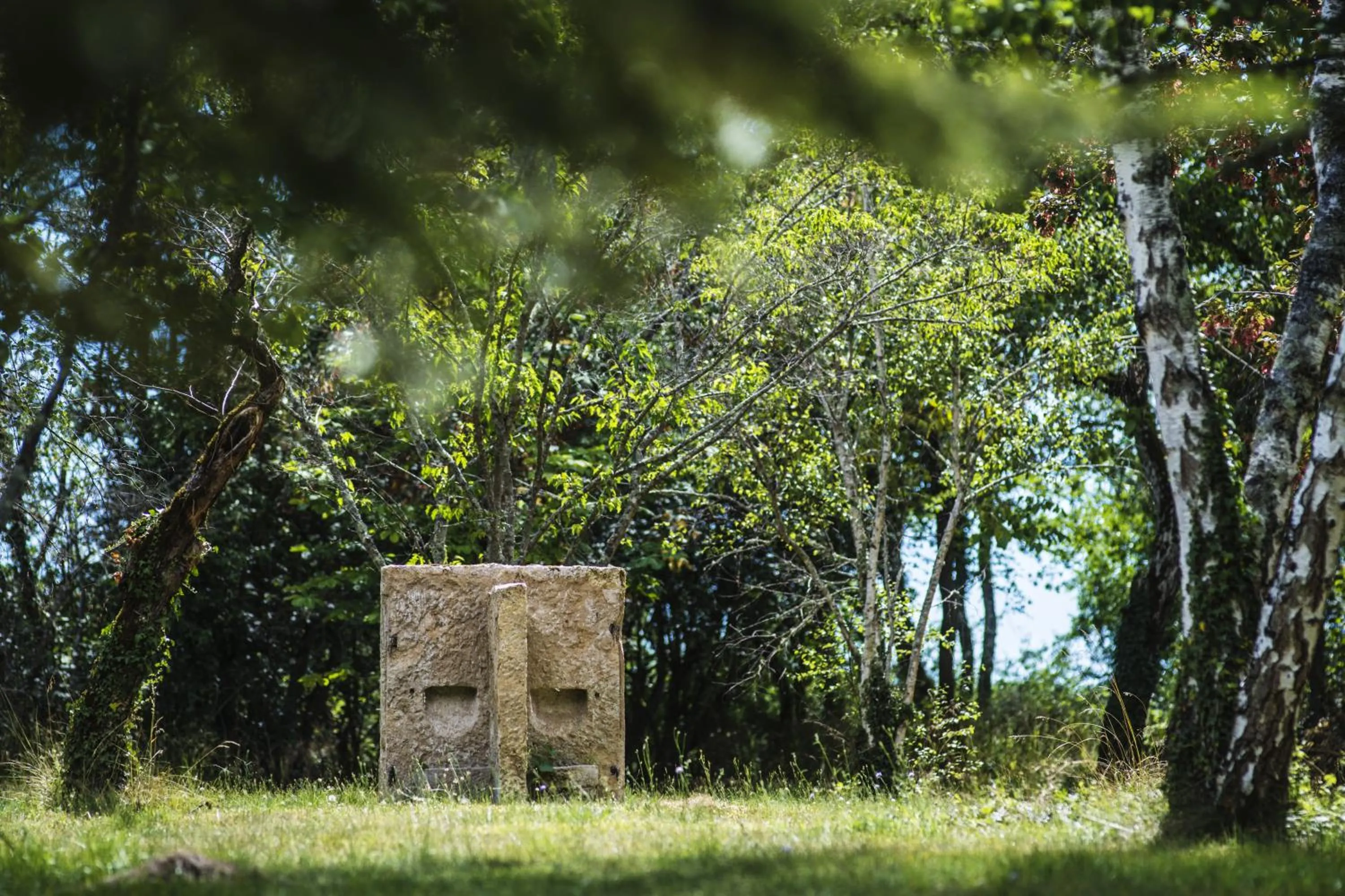 Garden in Le Domaine des Carriers - Gites