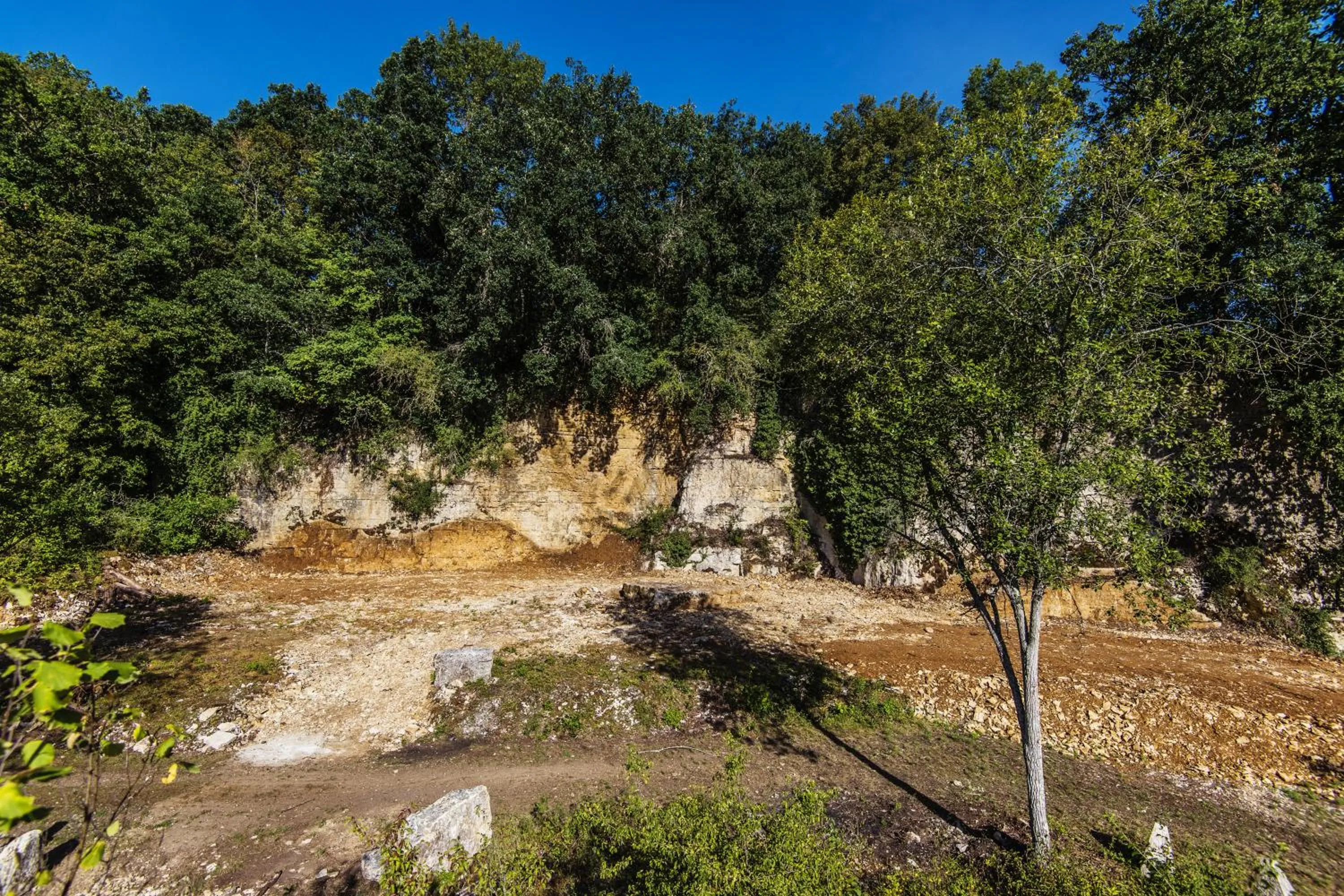 Garden in Le Domaine des Carriers - Gites