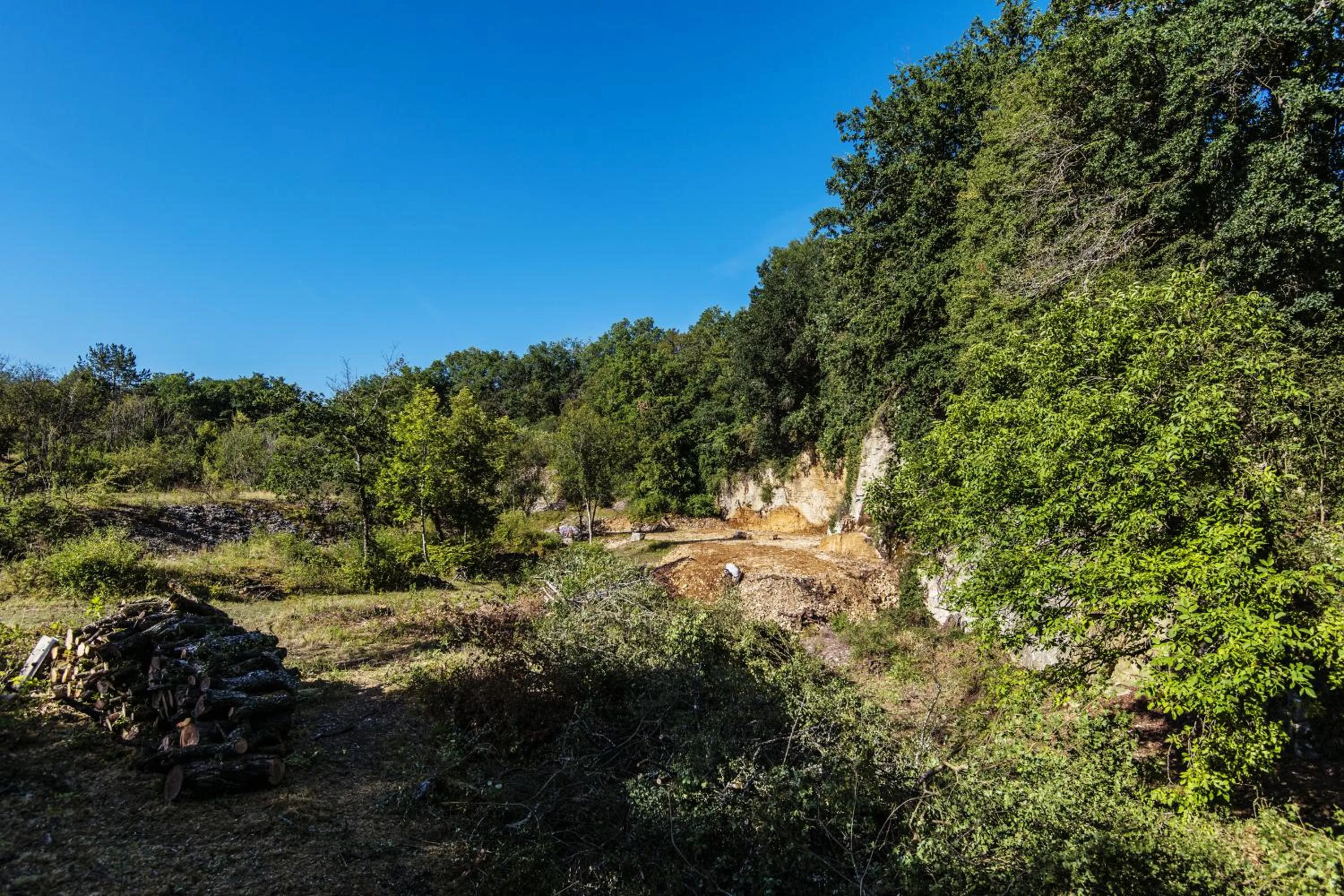 Garden in Le Domaine des Carriers - Gites