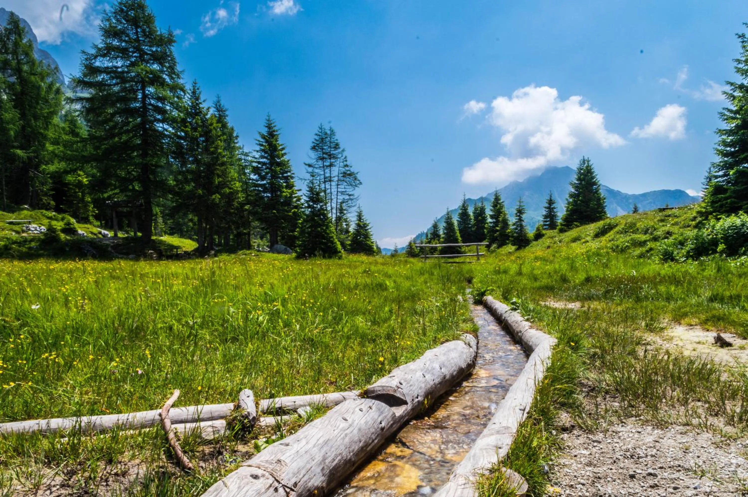 Natural landscape in Maison Boutique Fior d'Alpe