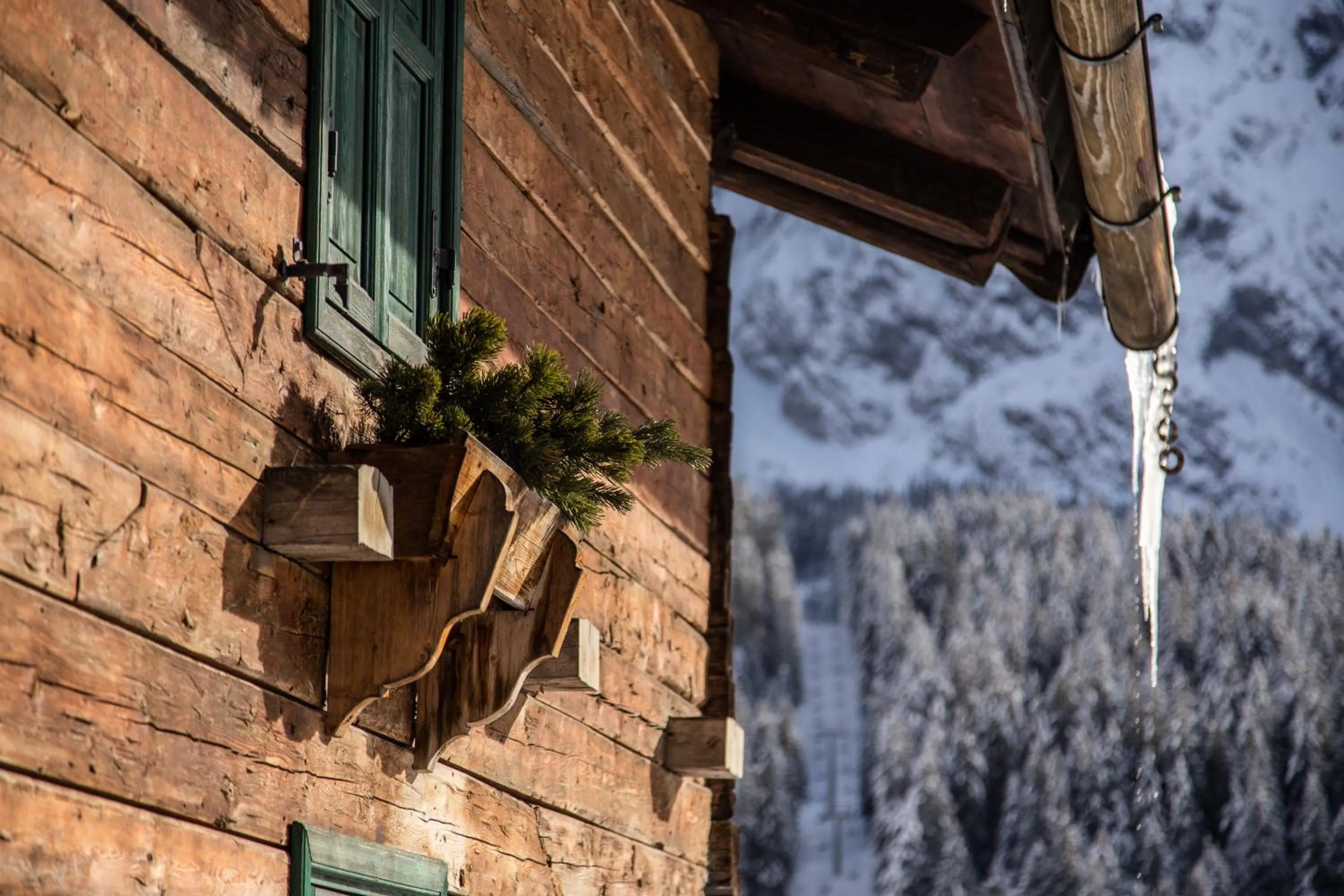 Winter in Maison Boutique Fior d'Alpe
