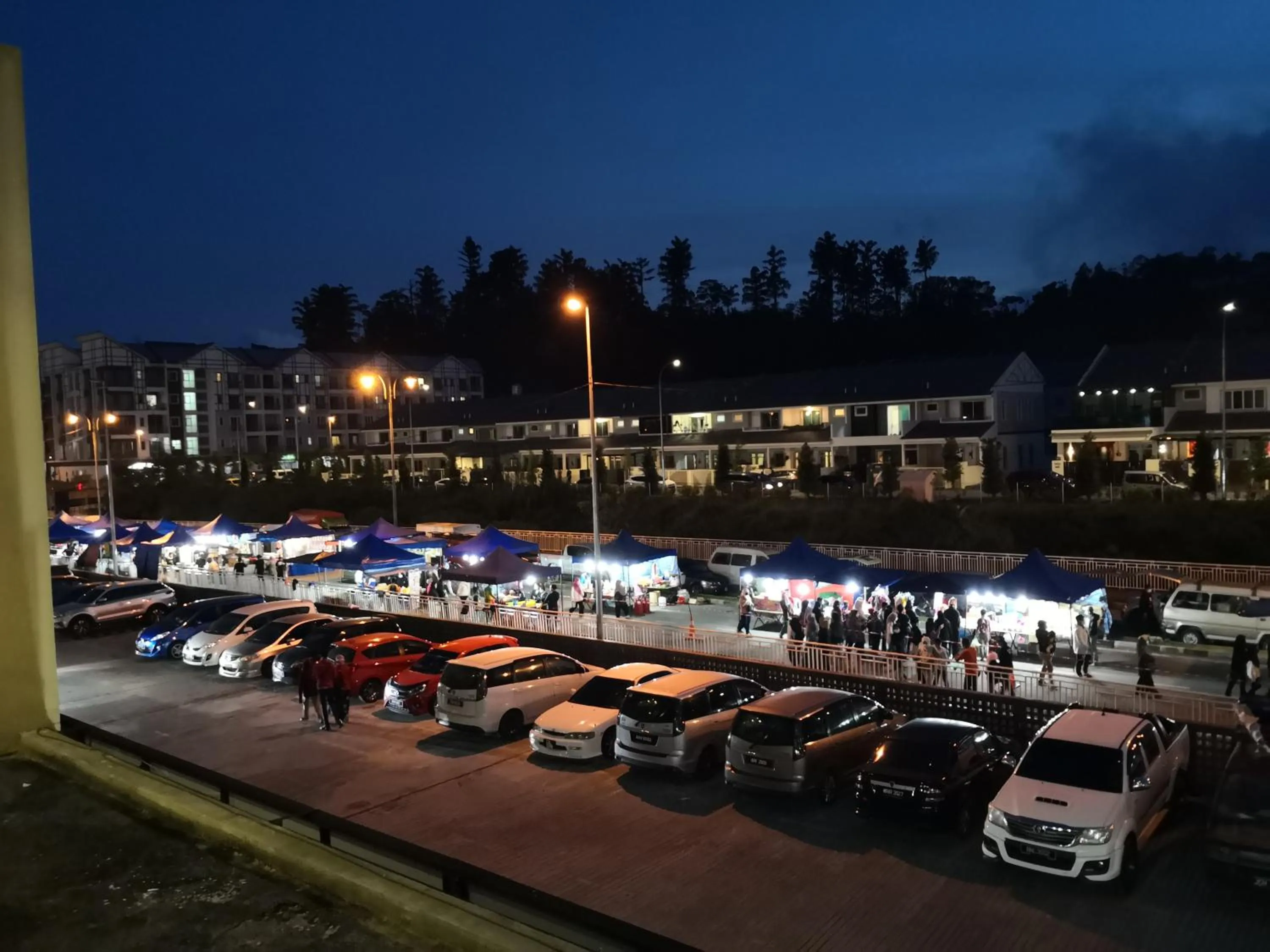 Garden view in Lily Homestay Barrington Square Cameron Highlands.