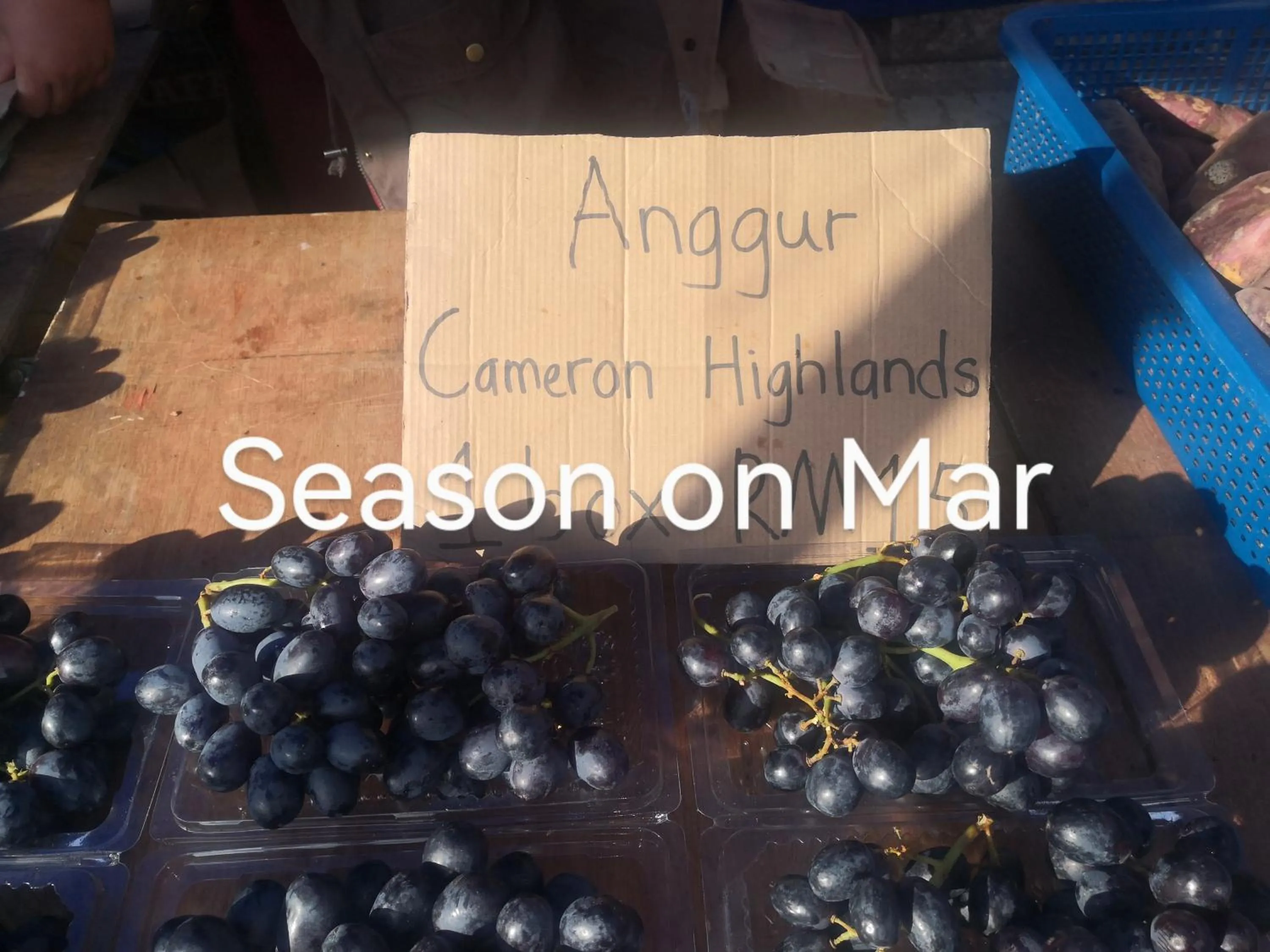 Lily Homestay Barrington Square Cameron Highlands.