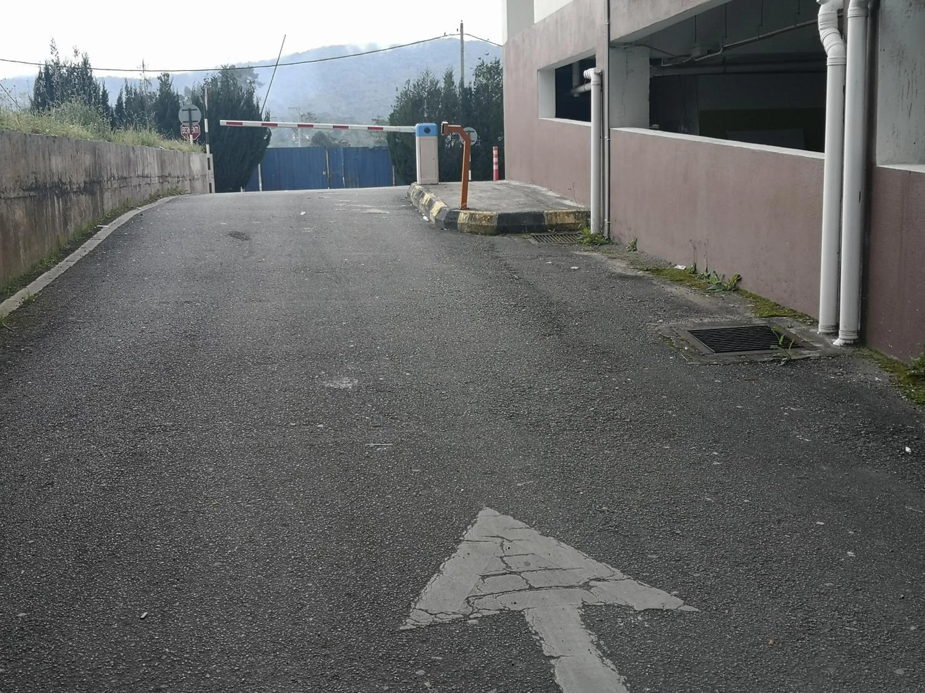 Lily Homestay Barrington Square Cameron Highlands.