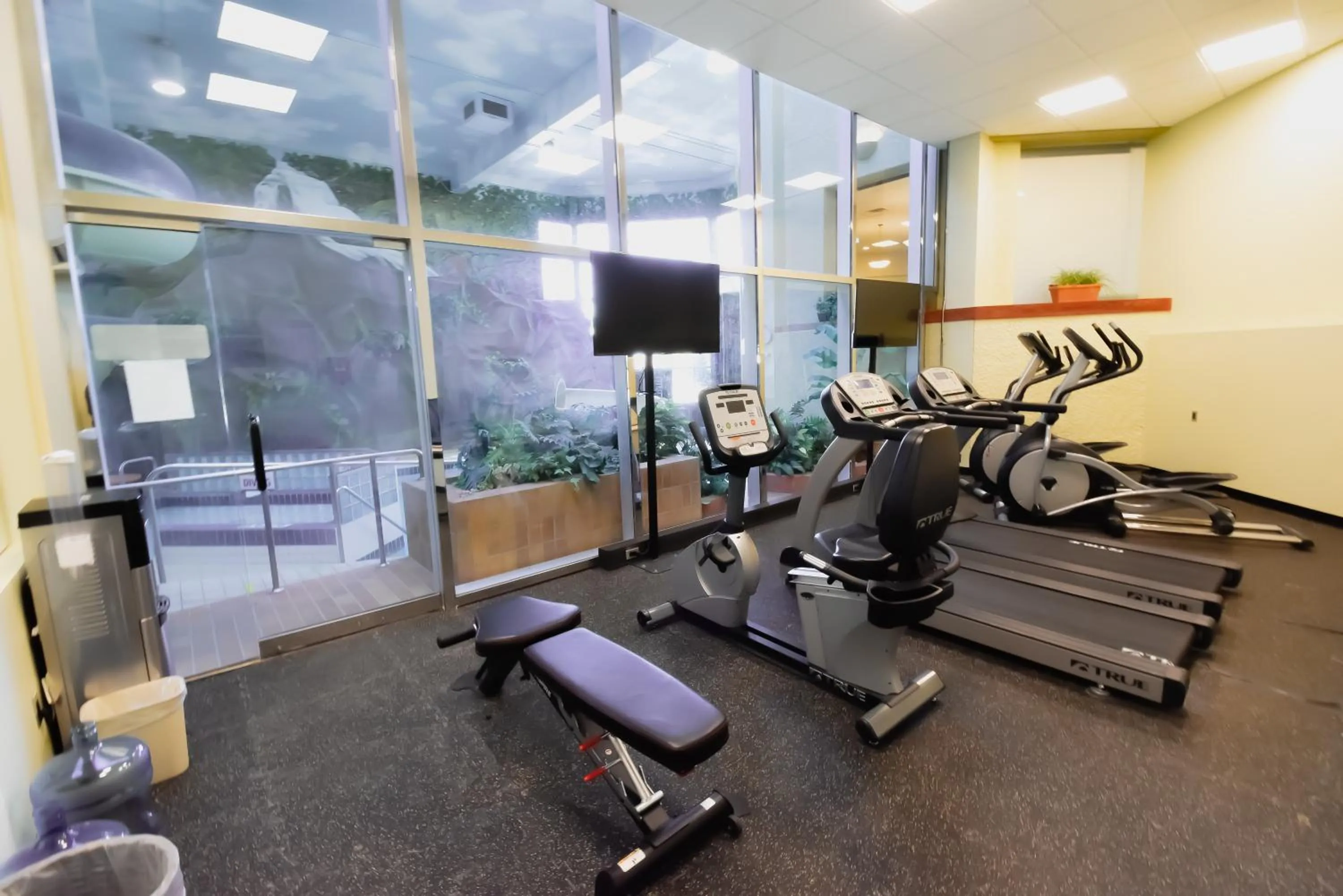 Fitness centre/facilities in Canad Inns Destination Centre Windsor Park
