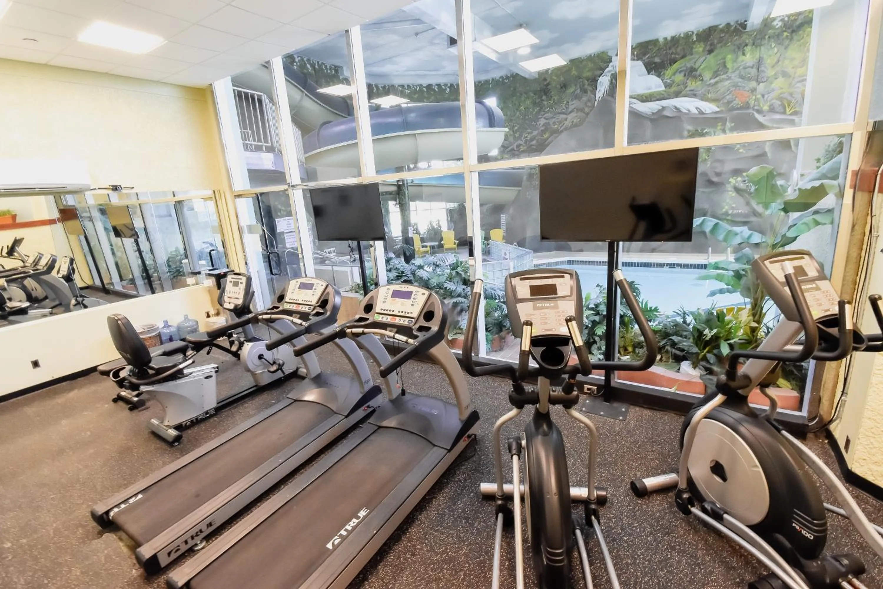 Fitness centre/facilities in Canad Inns Destination Centre Windsor Park